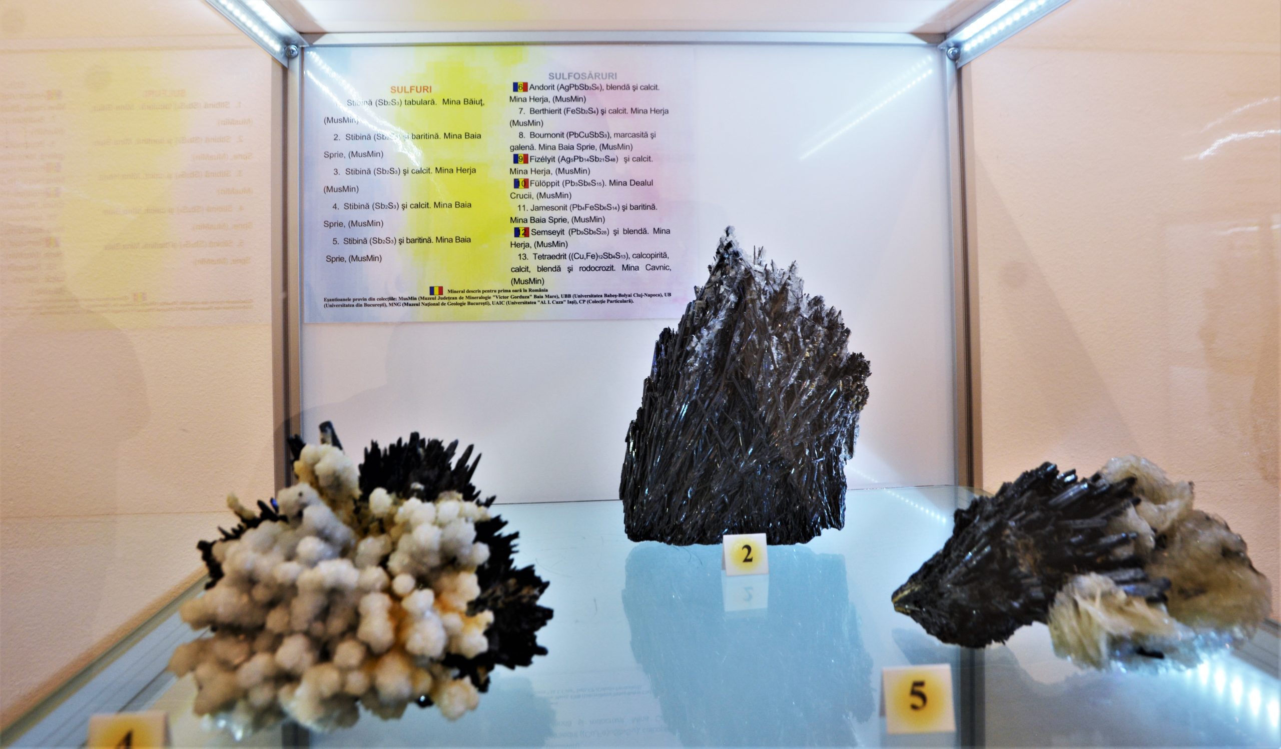 expozitie minerale oradea (24)