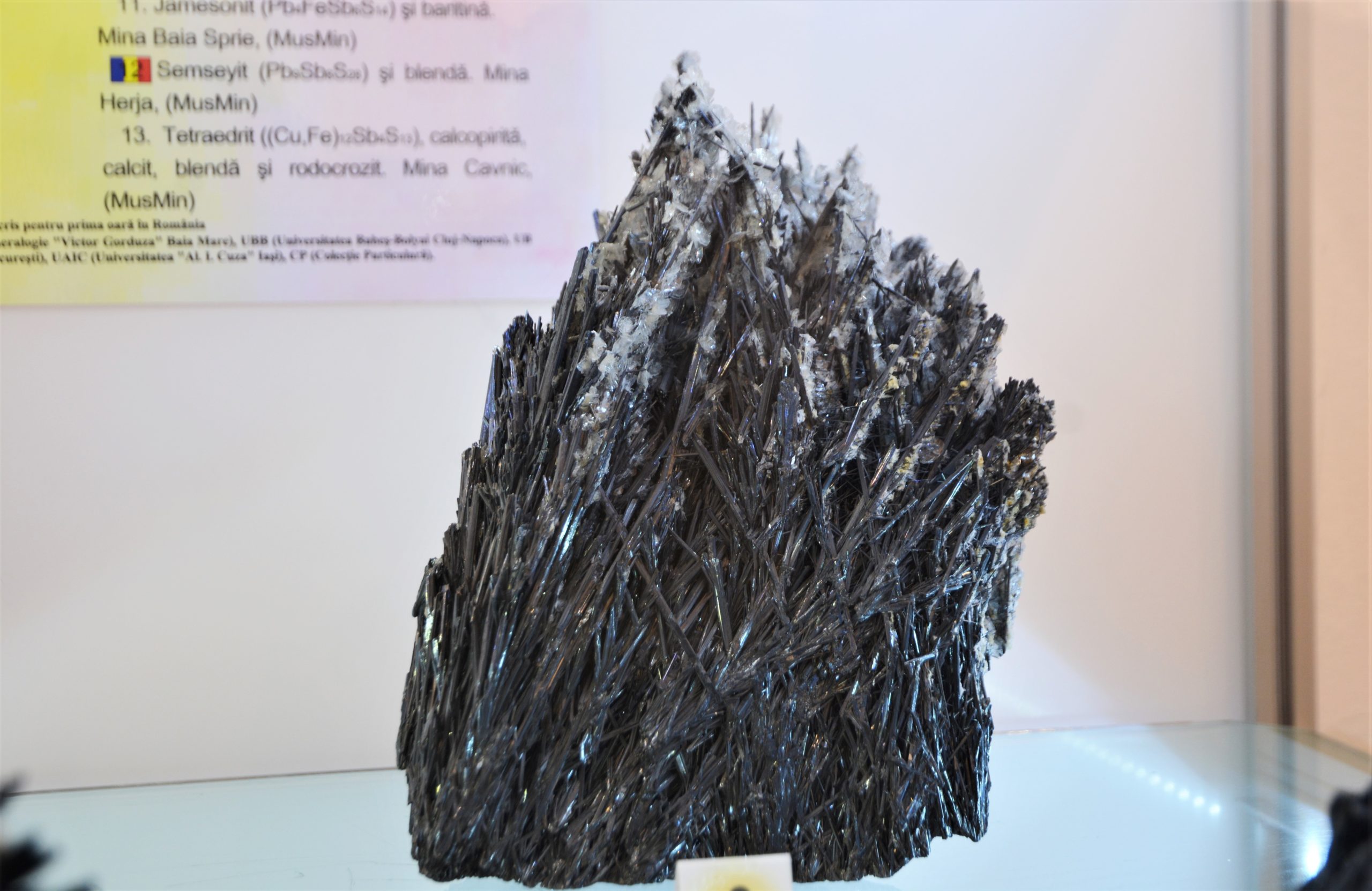 expozitie minerale oradea (26)