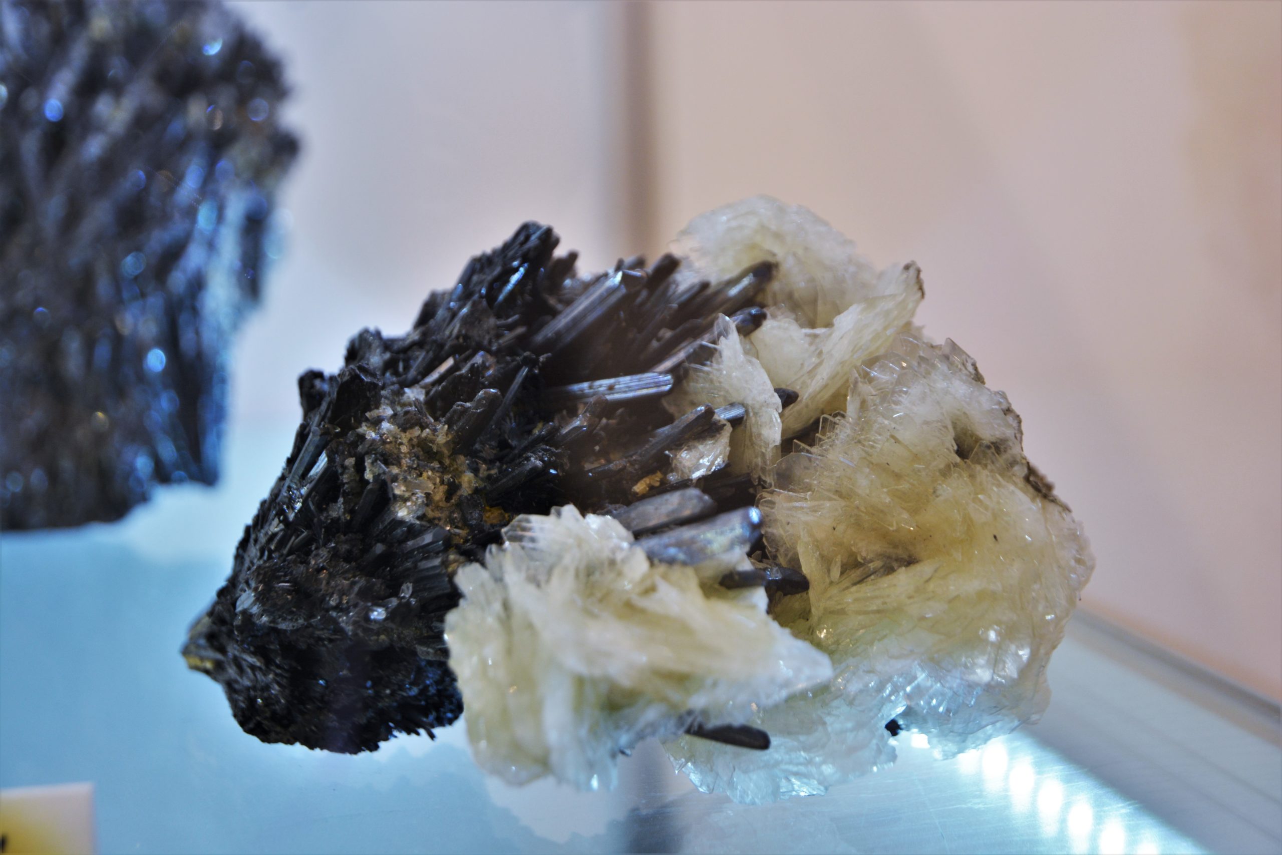 expozitie minerale oradea (27)