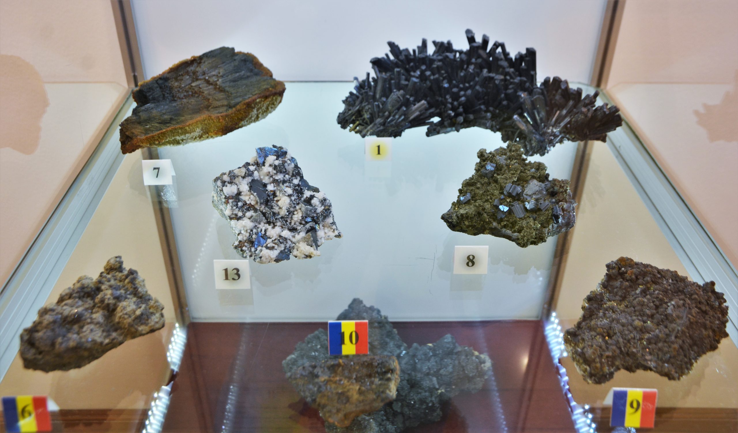 expozitie minerale oradea (28)