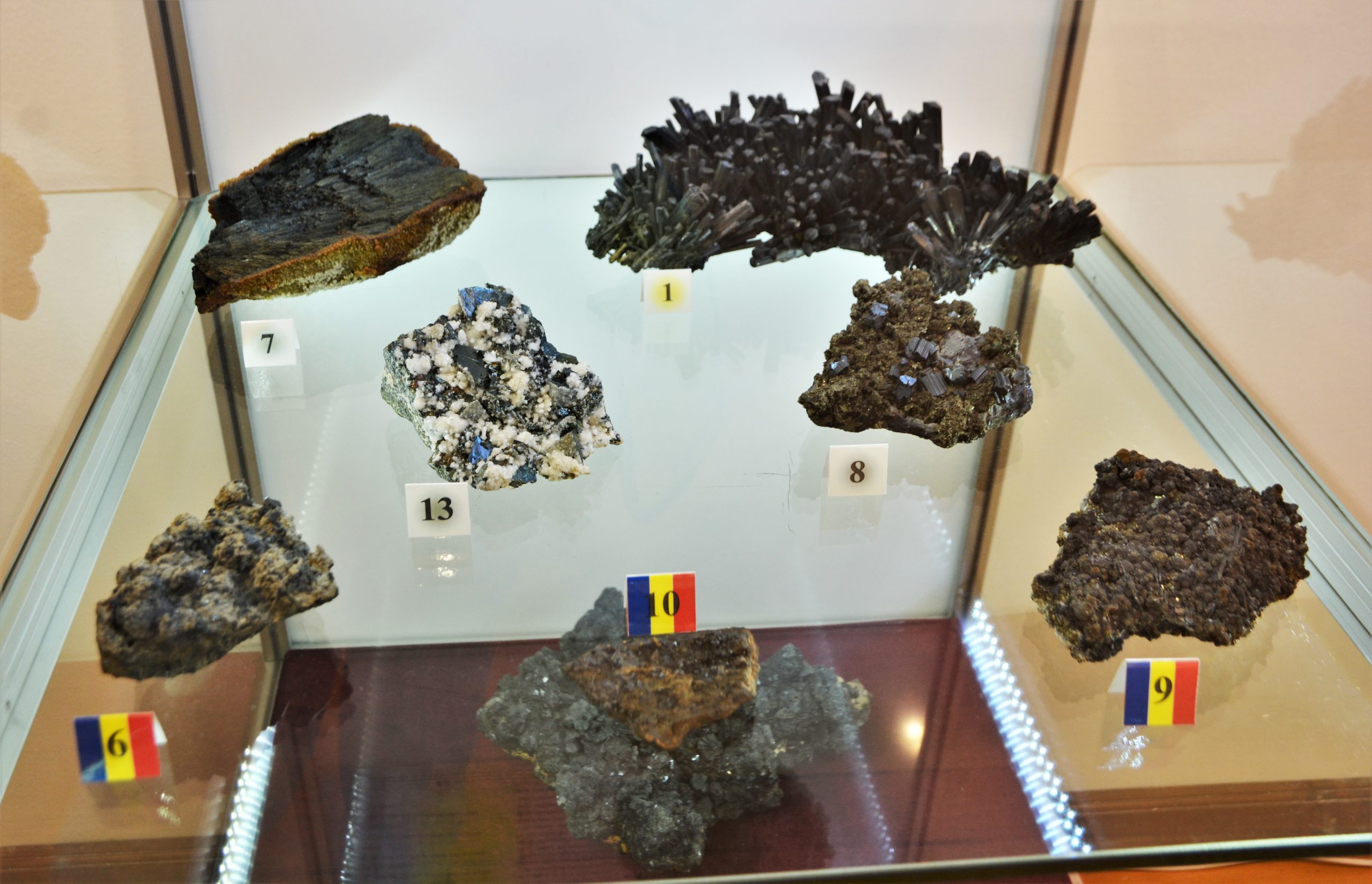 expozitie minerale oradea (35)