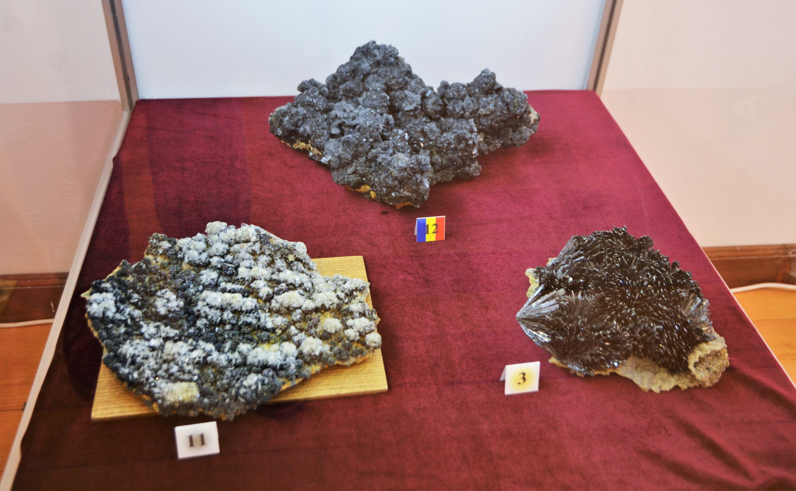 expozitie minerale oradea (36)