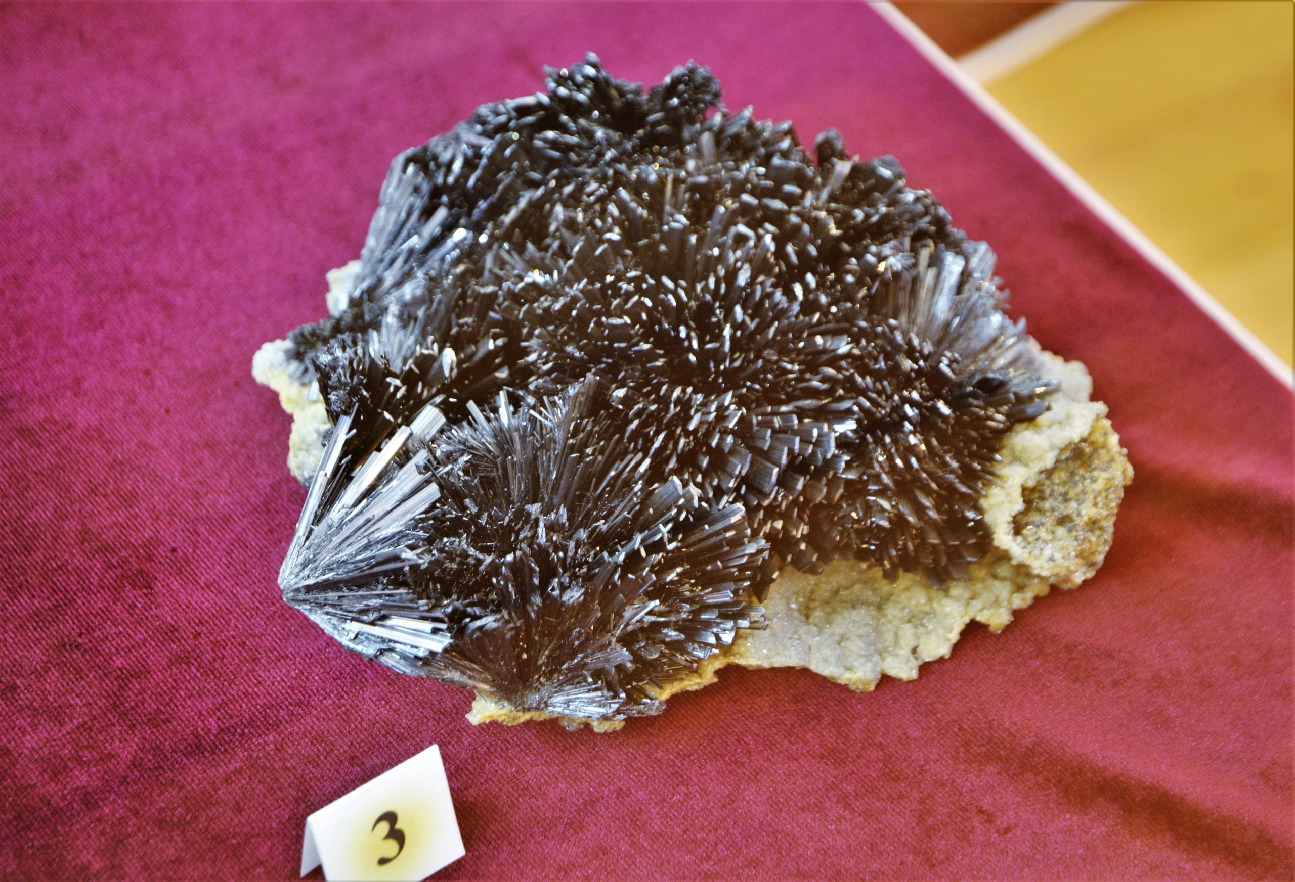 expozitie minerale oradea (37)