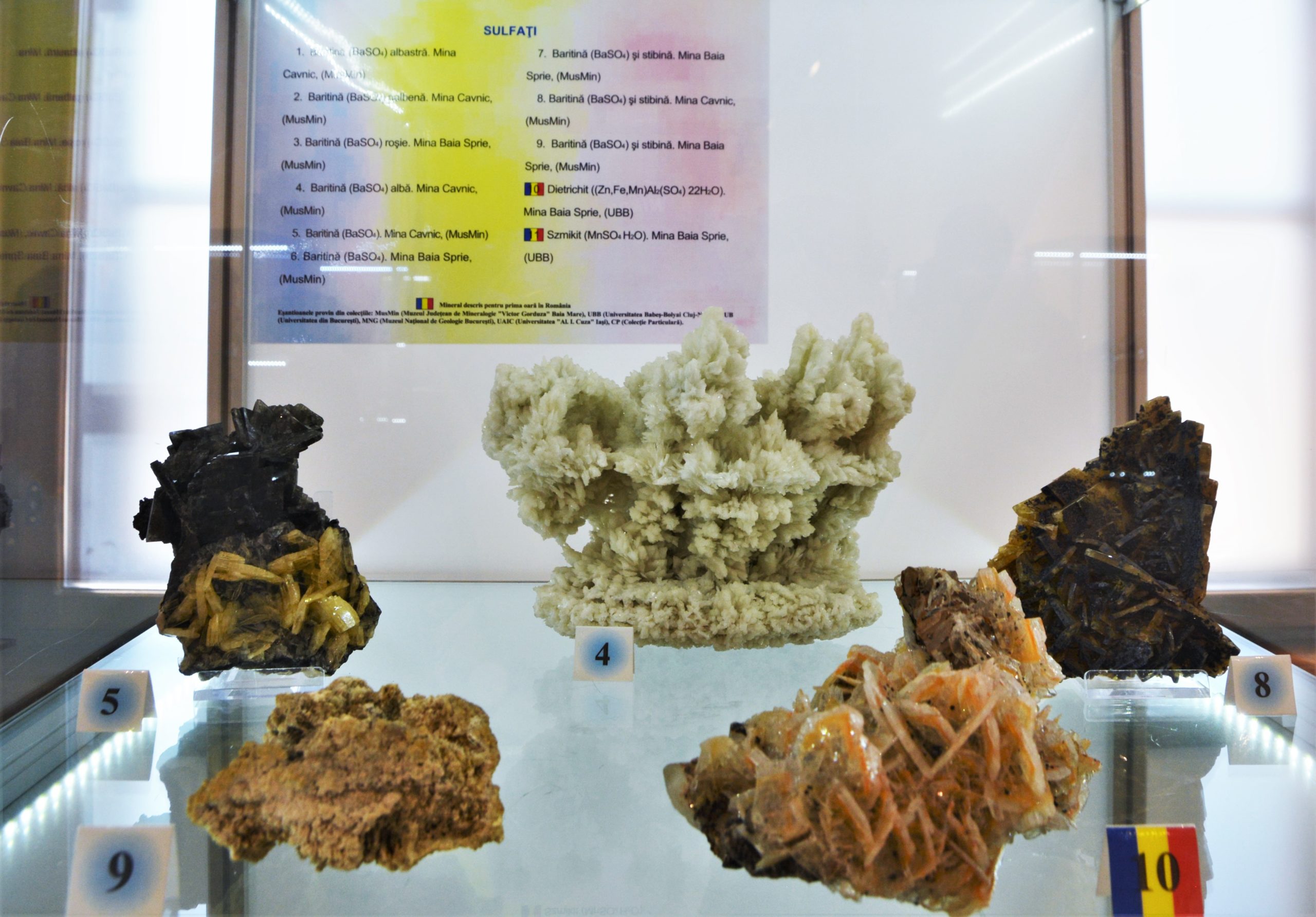expozitie minerale oradea (38)