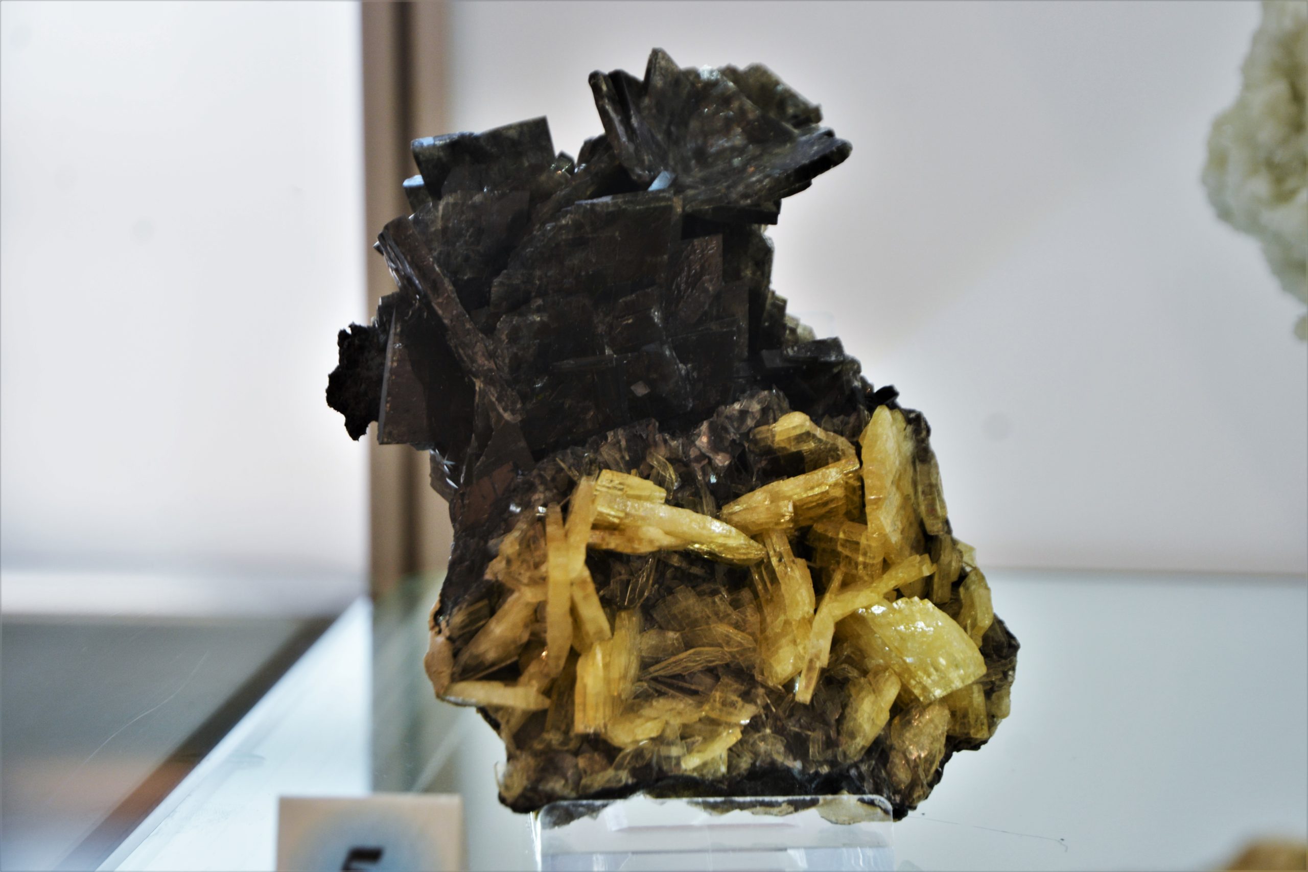 expozitie minerale oradea (40)
