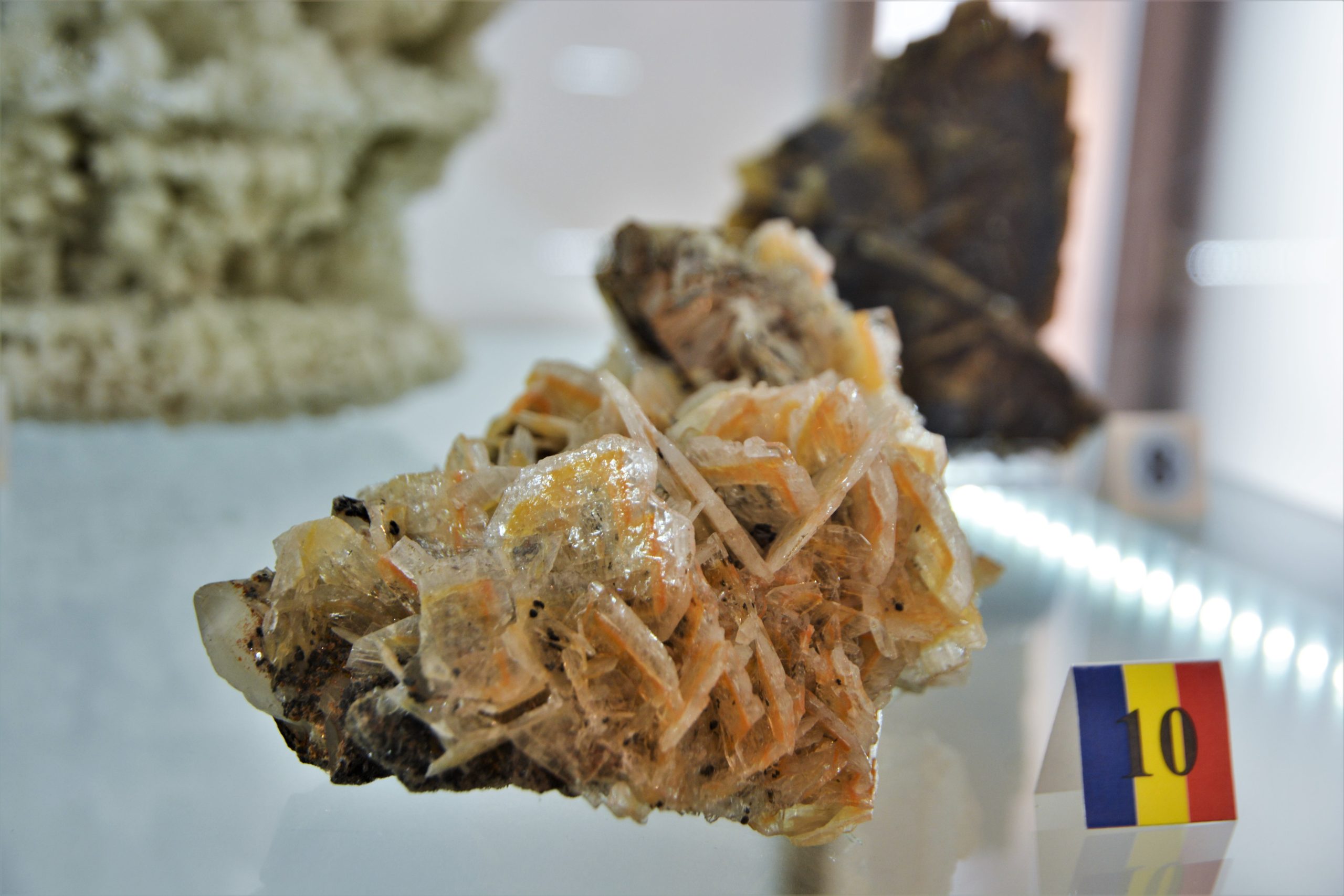 expozitie minerale oradea (41)