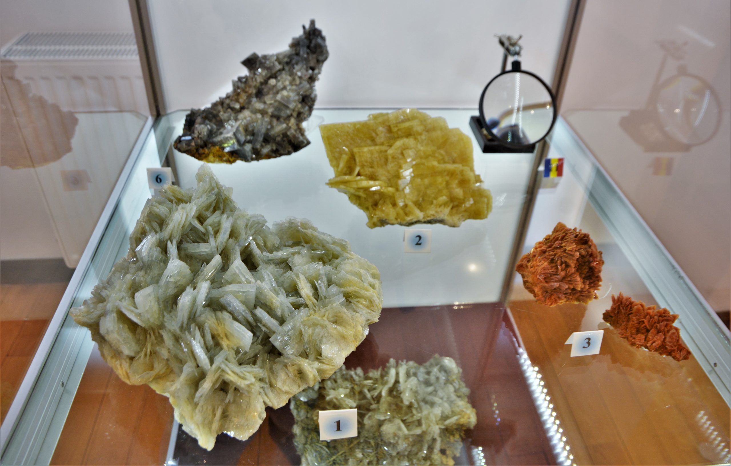 expozitie minerale oradea (42)