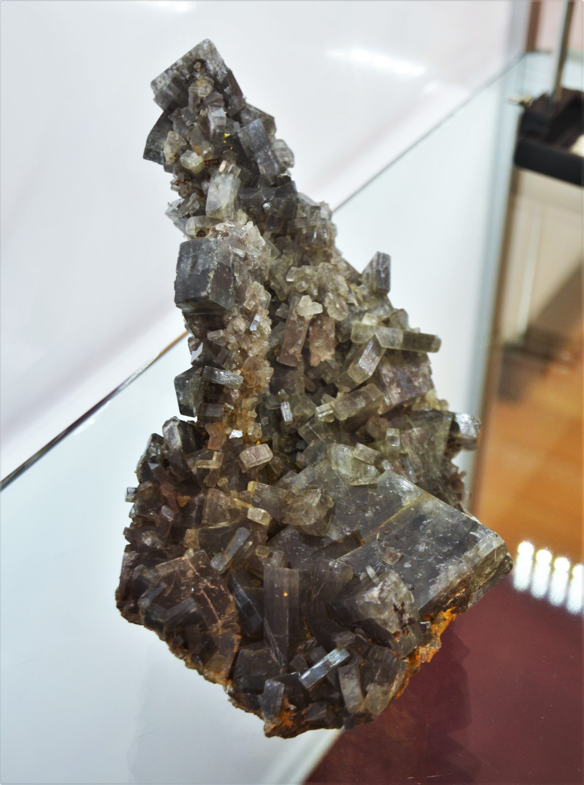 expozitie minerale oradea (43)