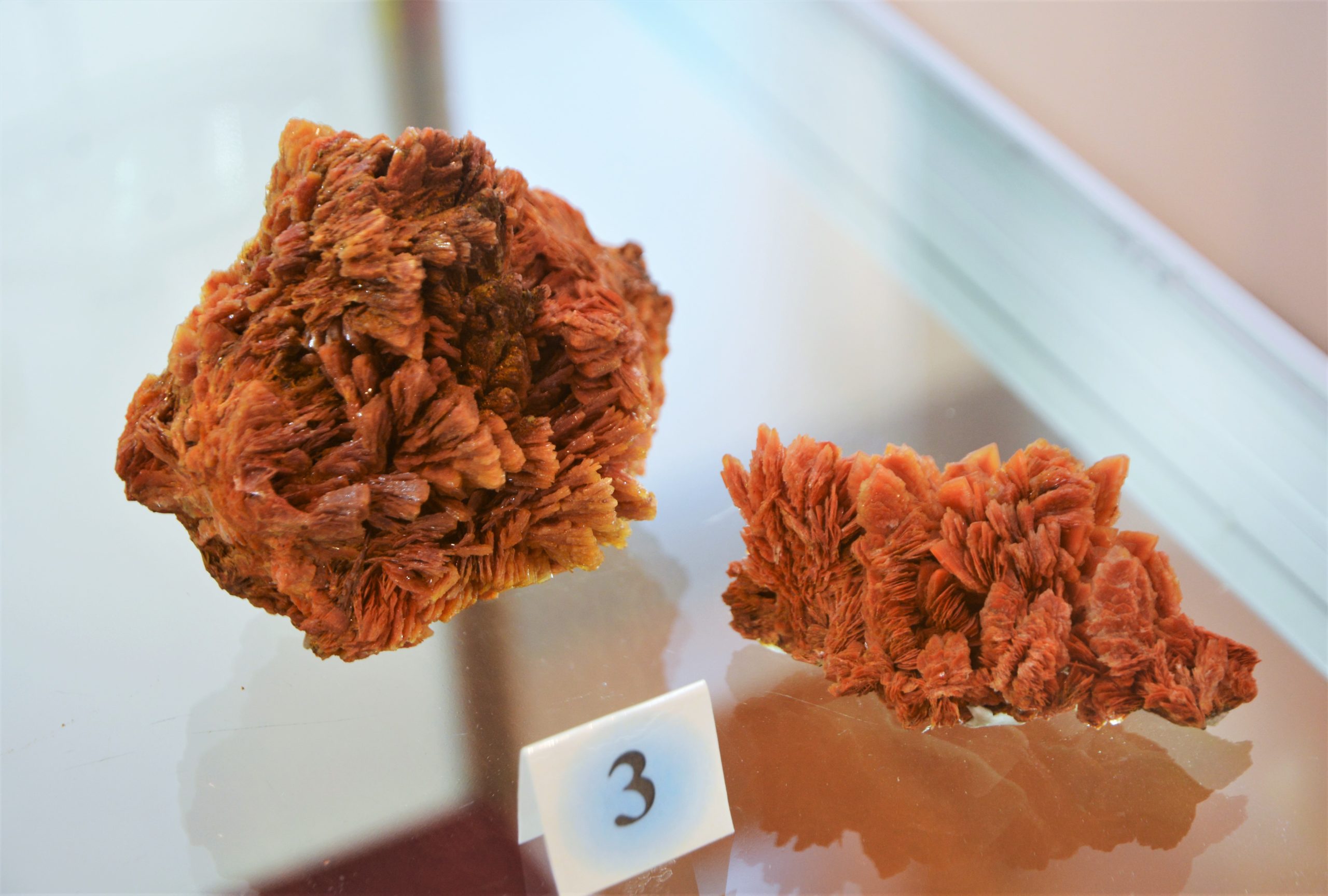 expozitie minerale oradea (44)