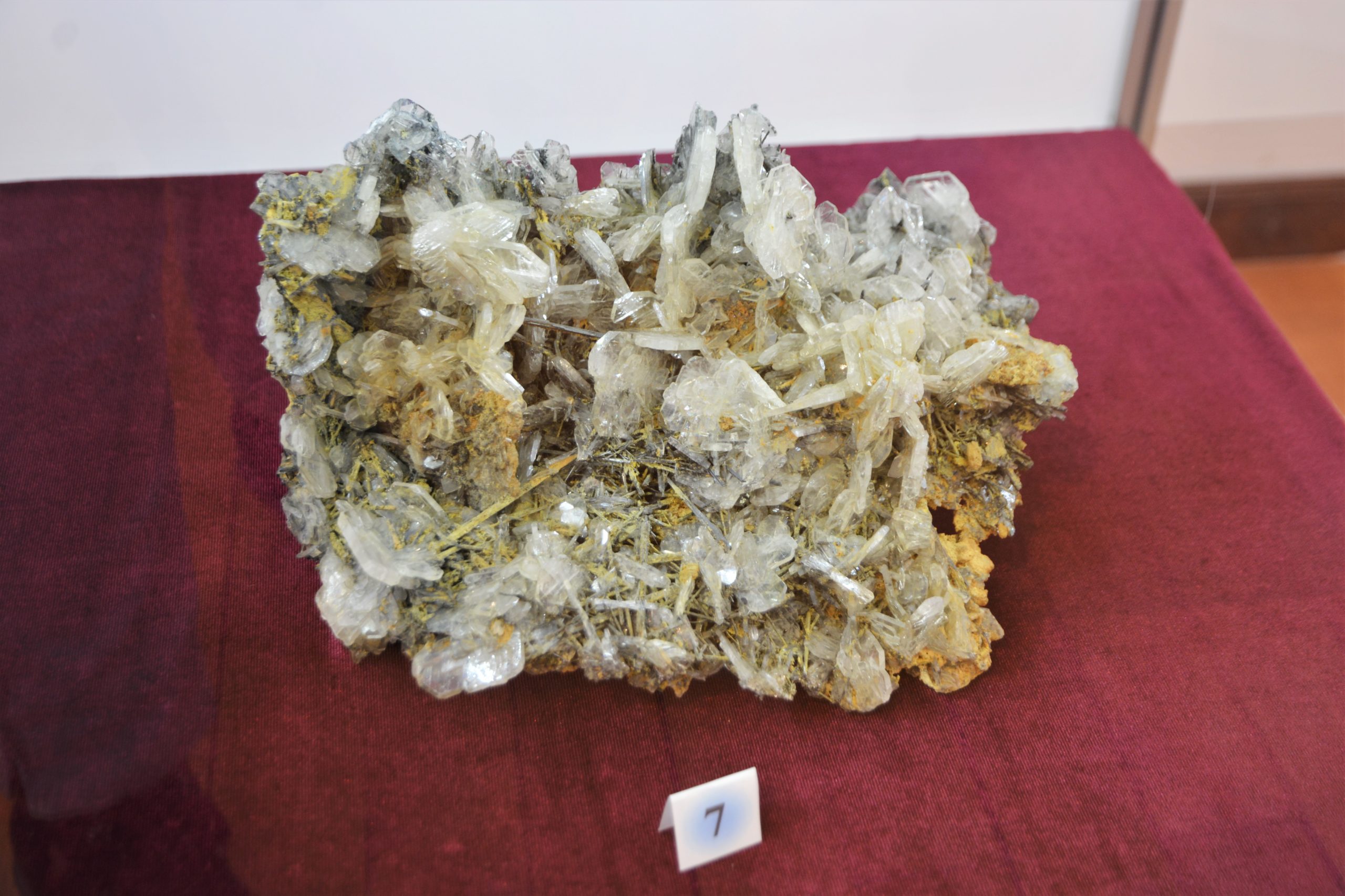 expozitie minerale oradea (45)