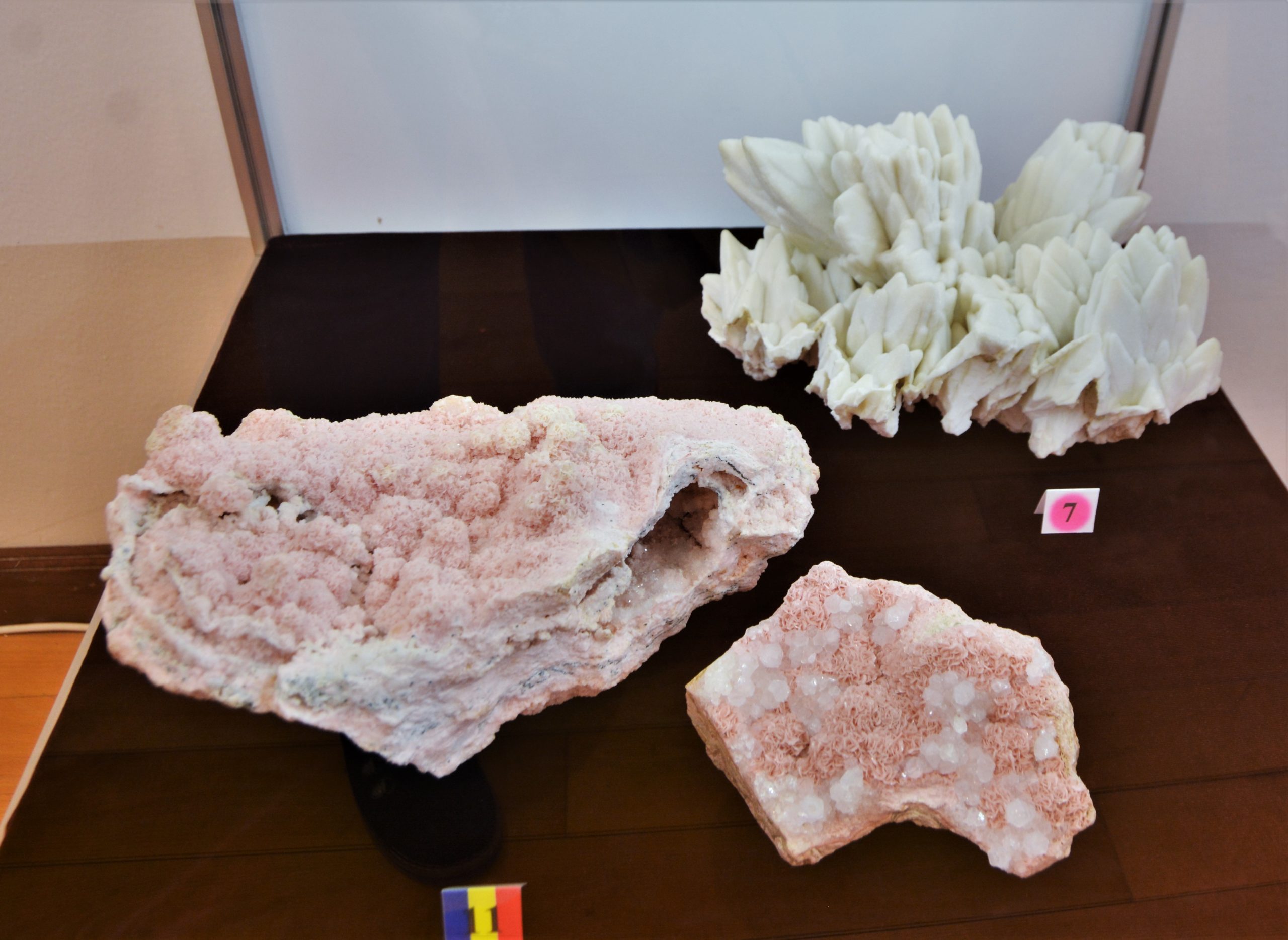 expozitie minerale oradea (48)