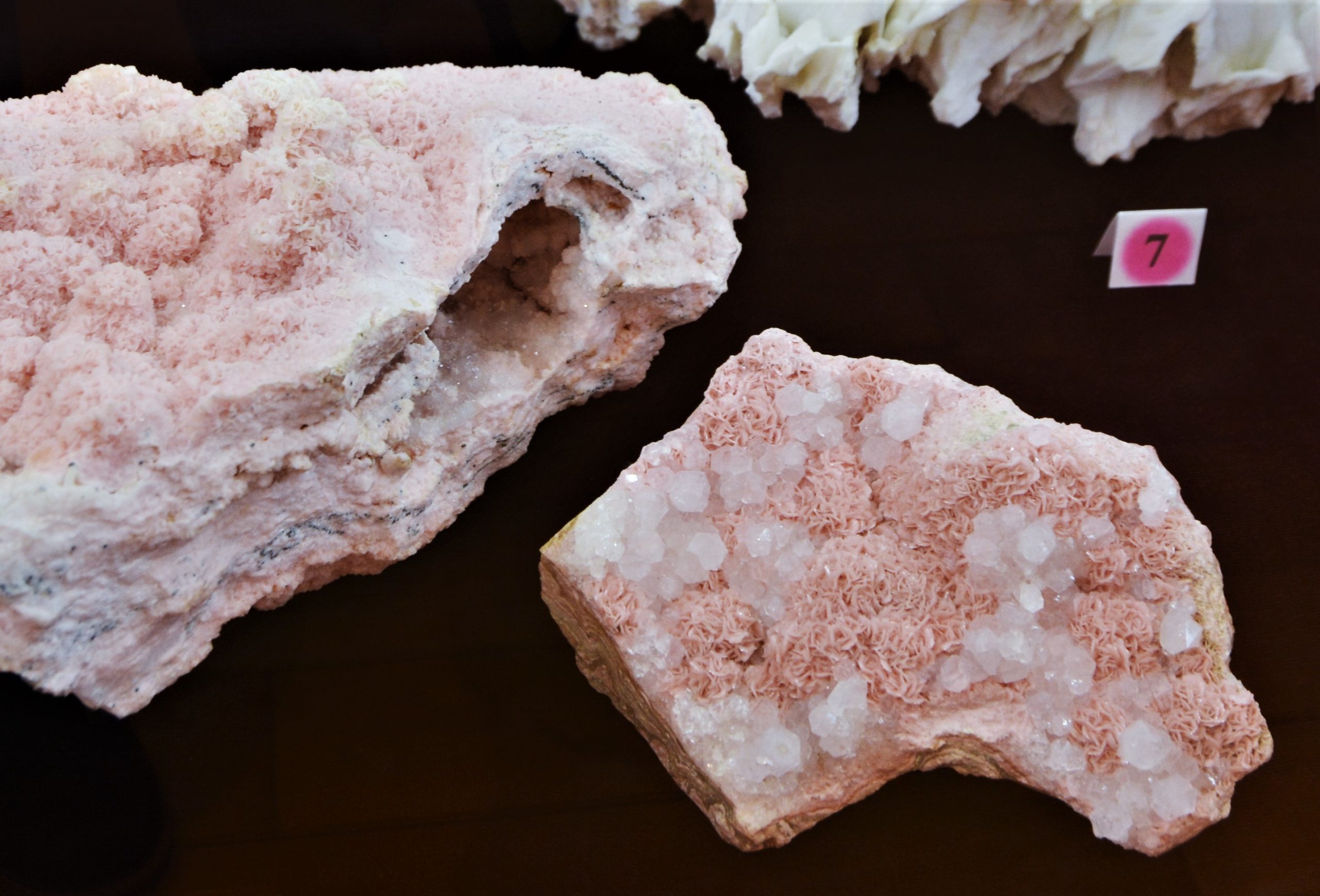 expozitie minerale oradea (50)