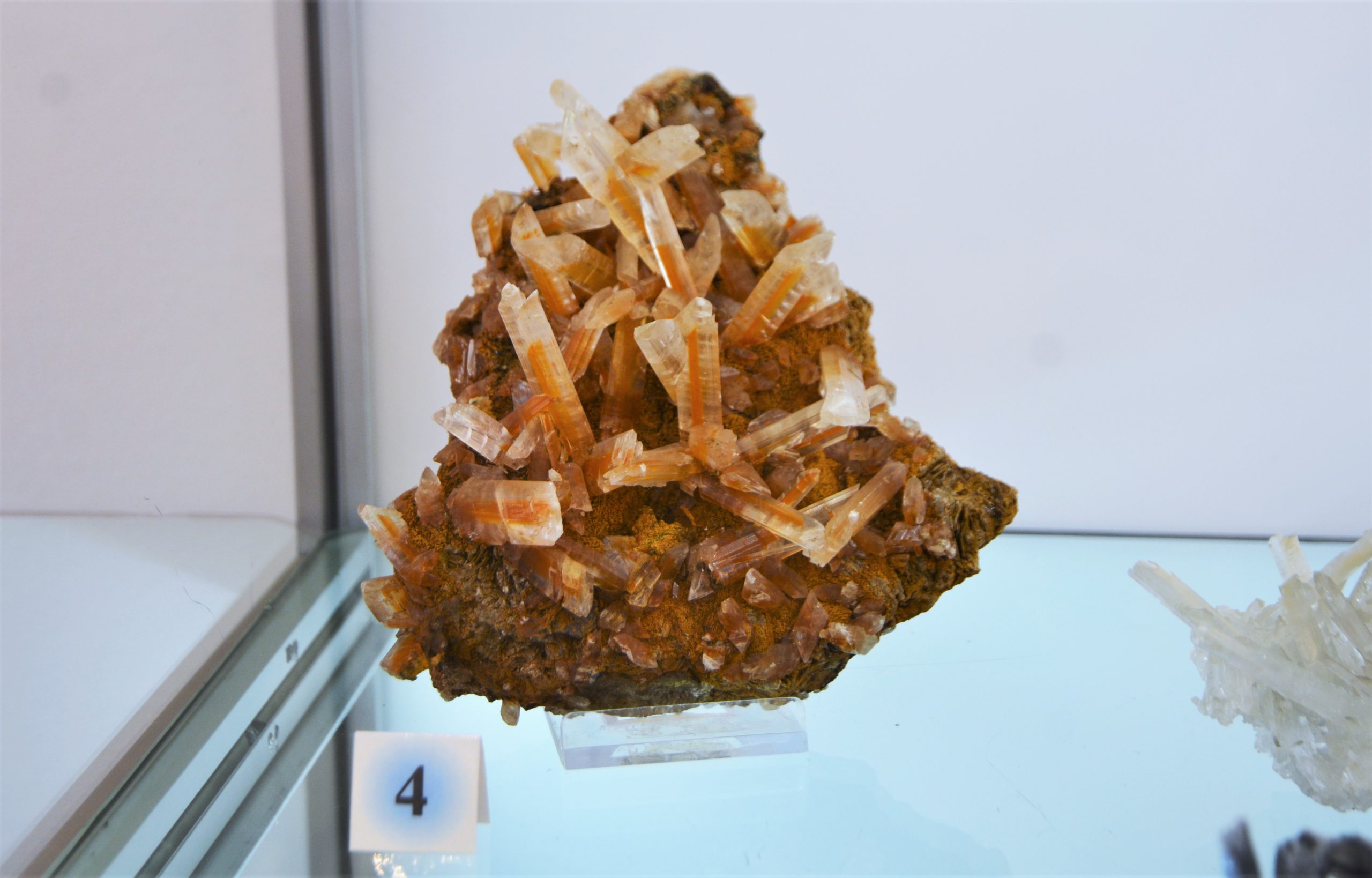 expozitie minerale oradea (53)