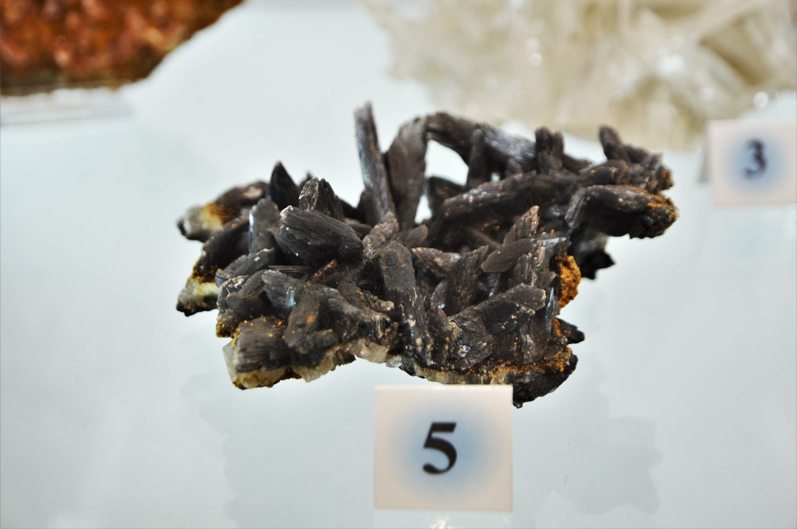 expozitie minerale oradea (54)