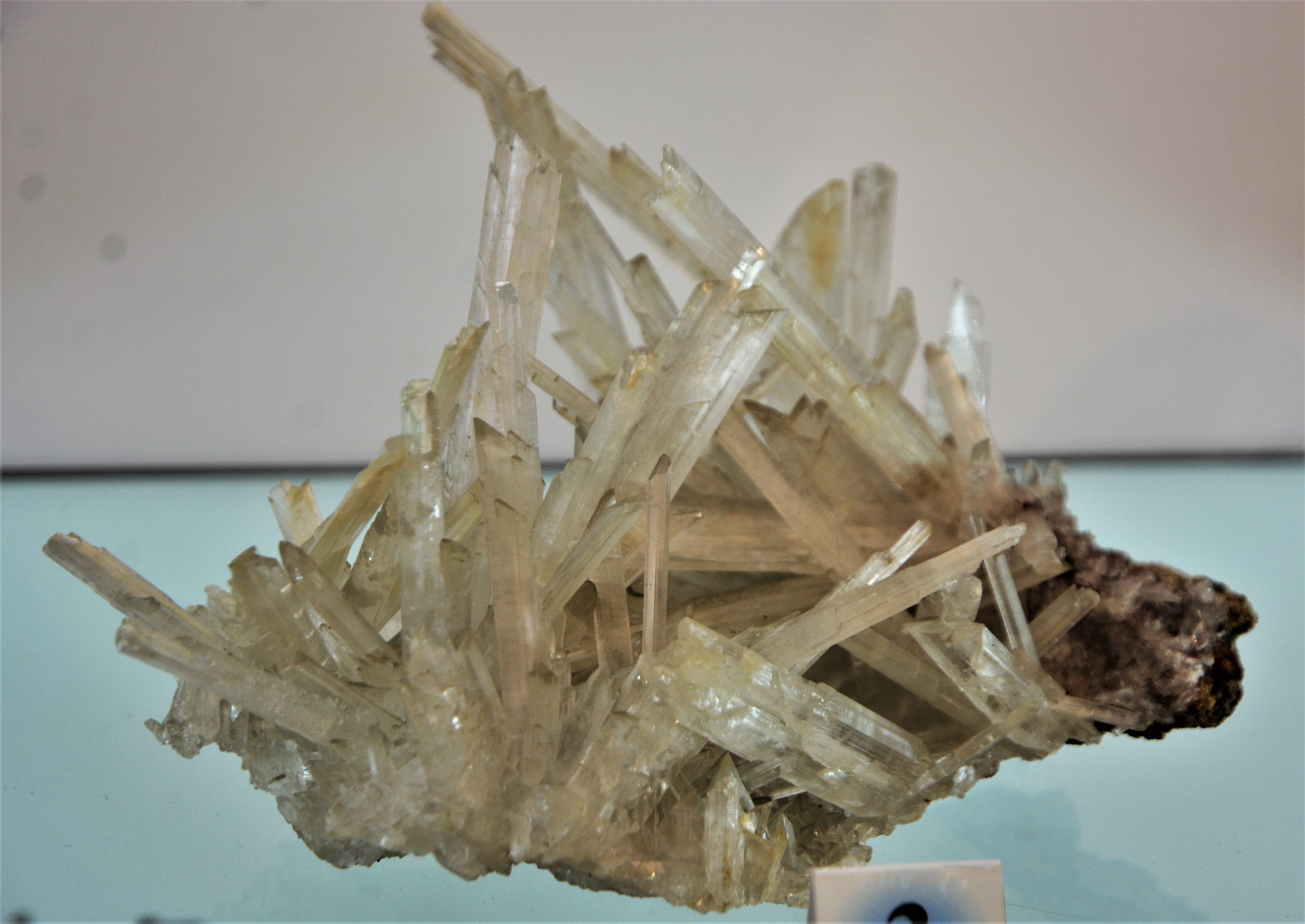 expozitie minerale oradea (55)