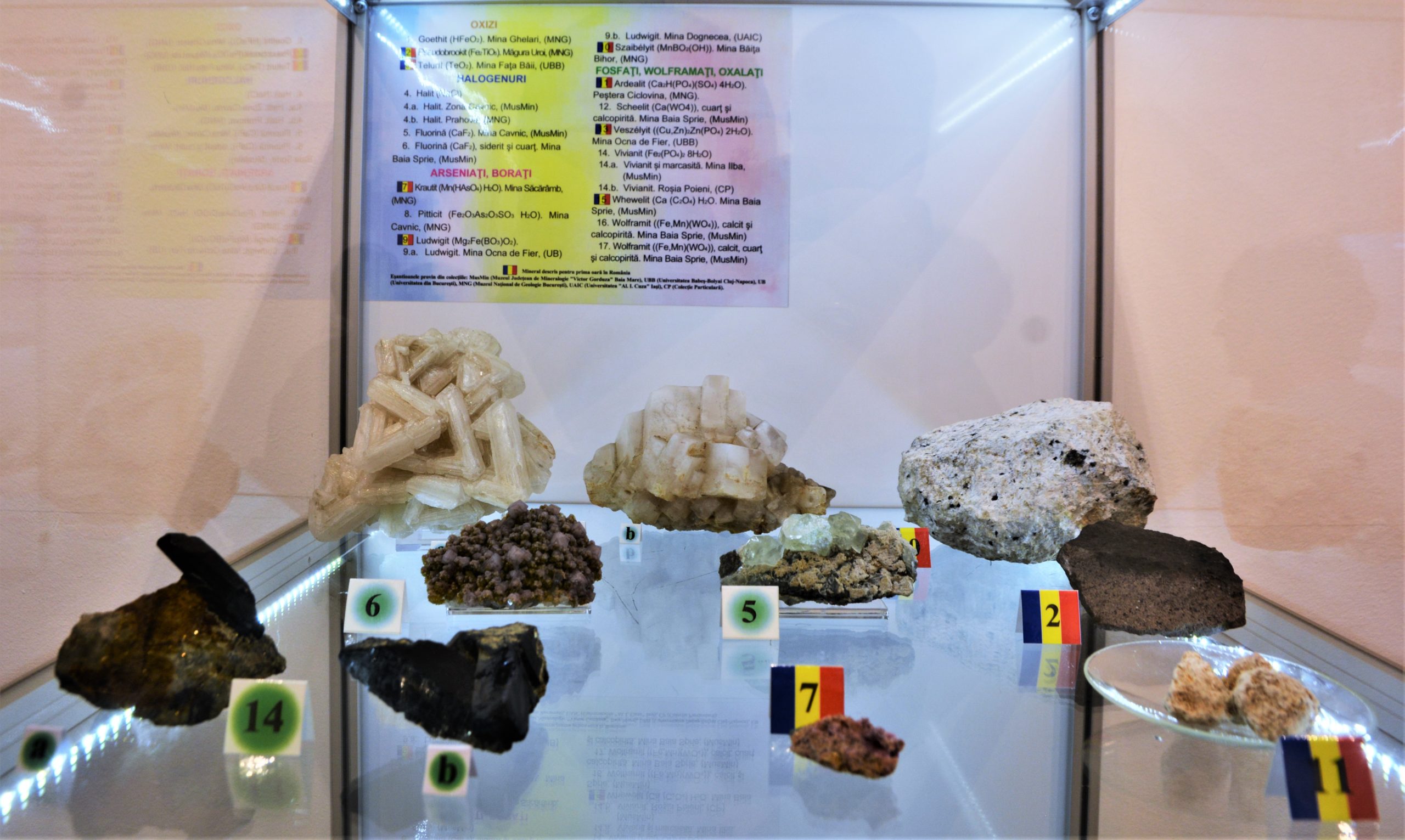 expozitie minerale oradea (59)