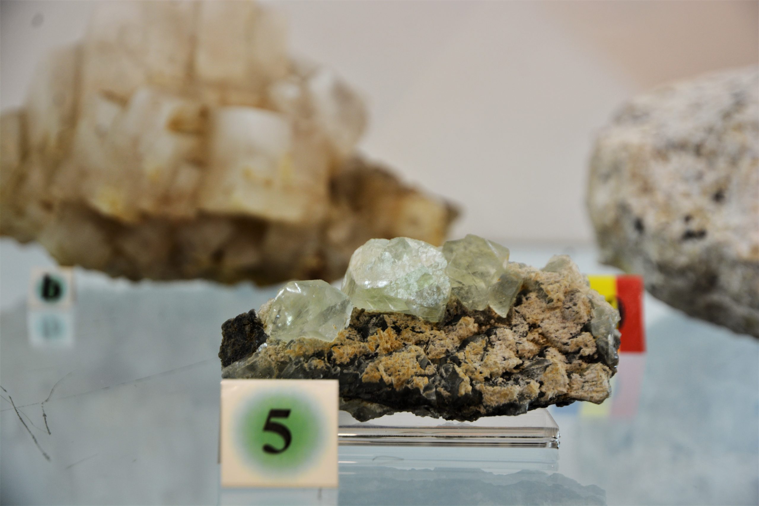 expozitie minerale oradea (61)