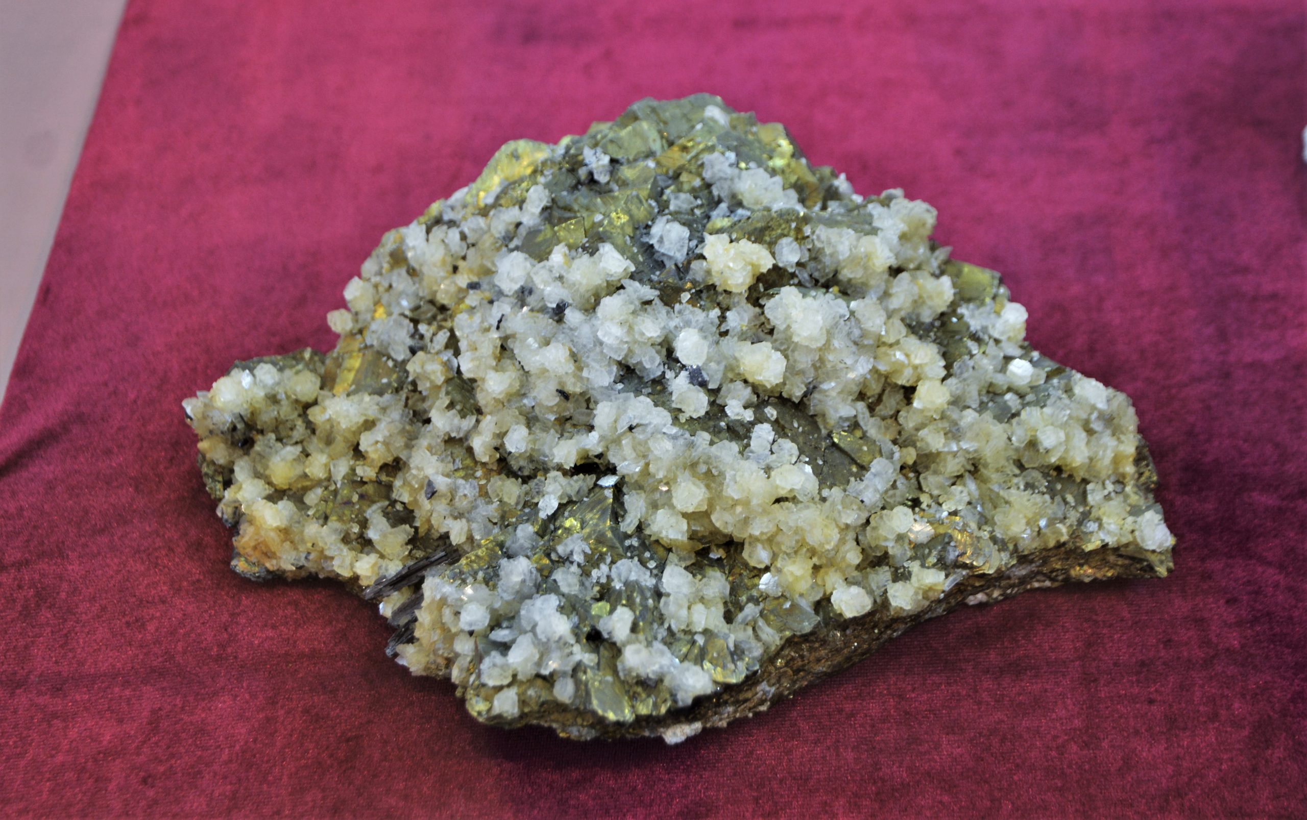 expozitie minerale oradea (65)