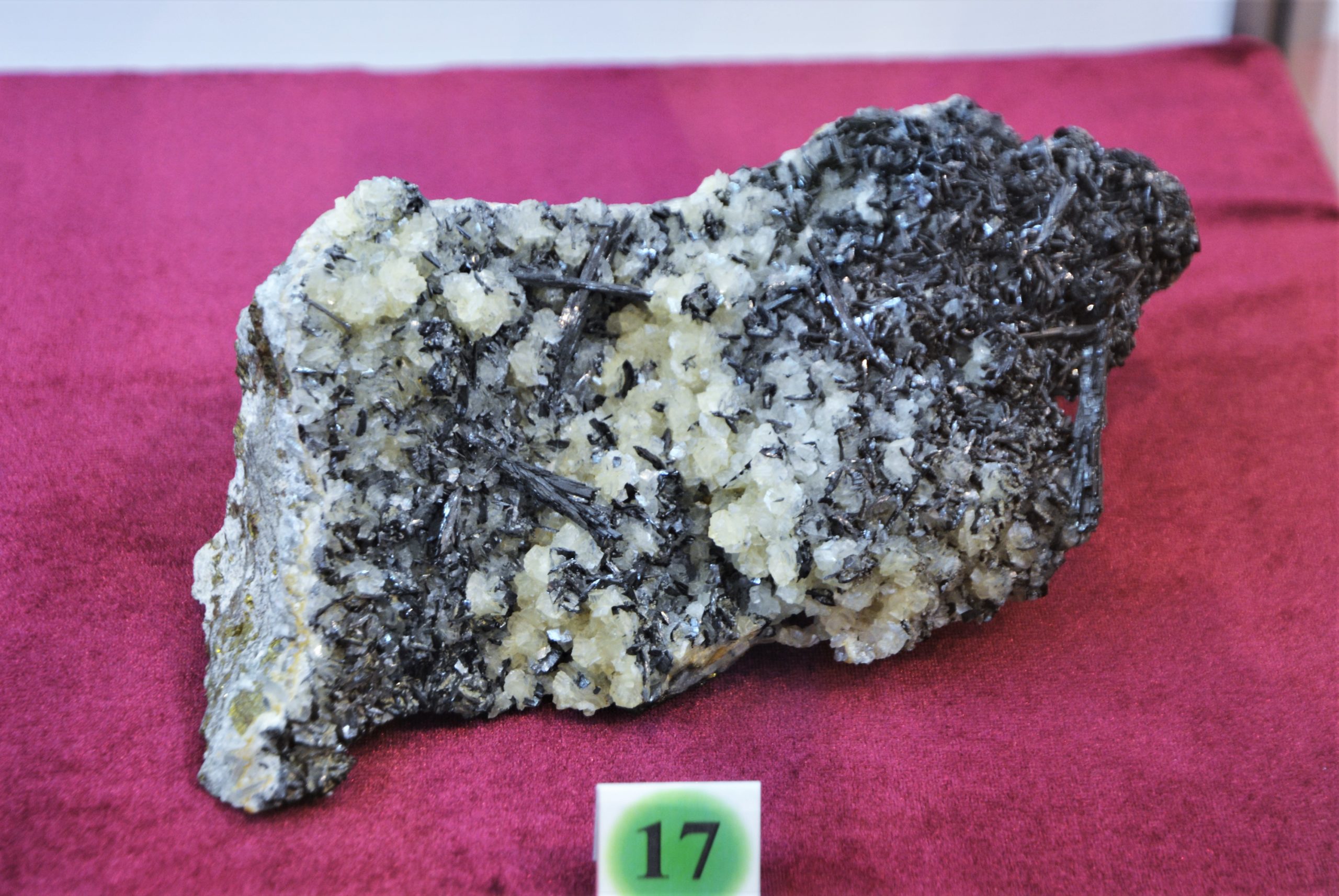 expozitie minerale oradea (66)
