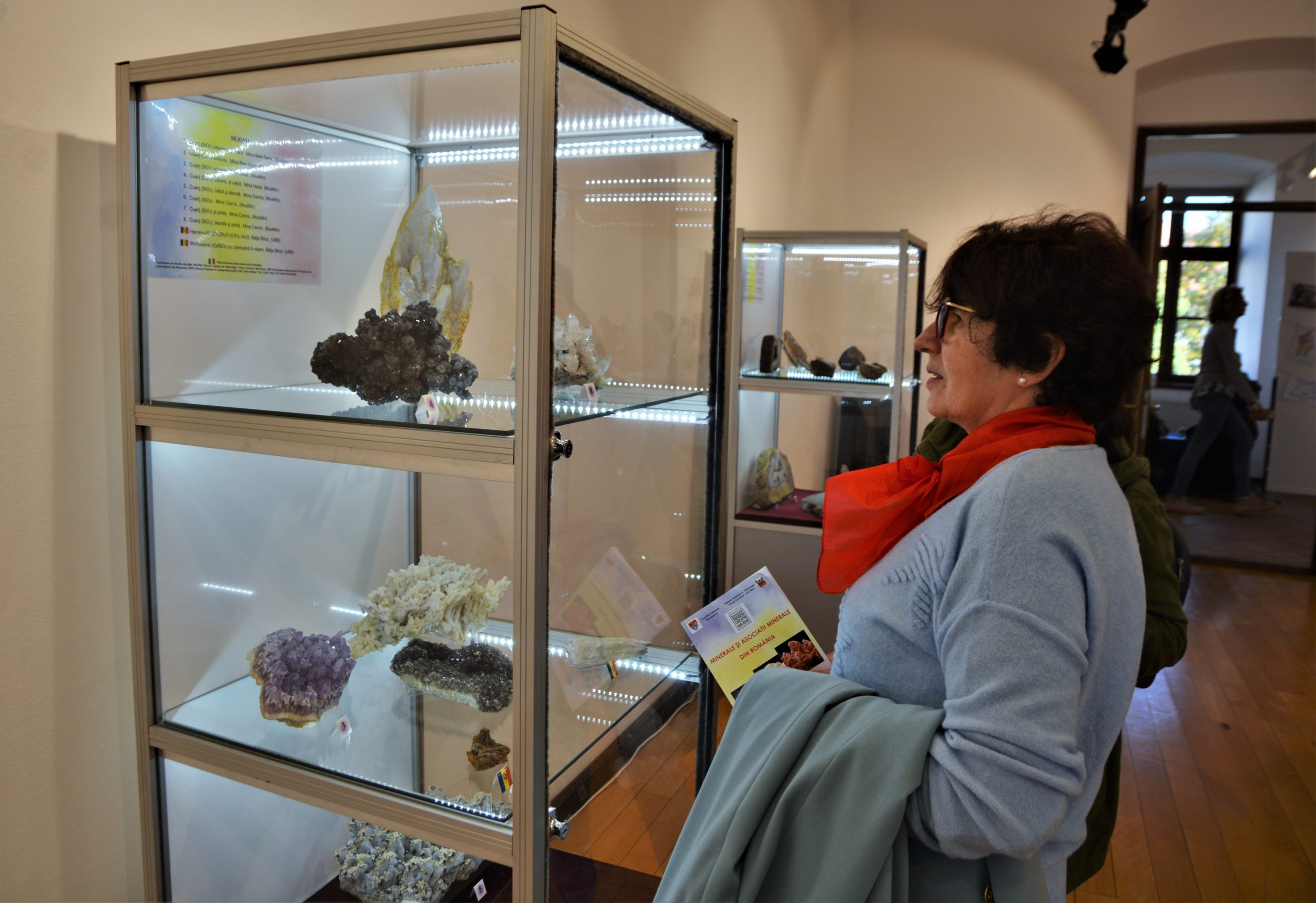 expozitie minerale oradea (69)