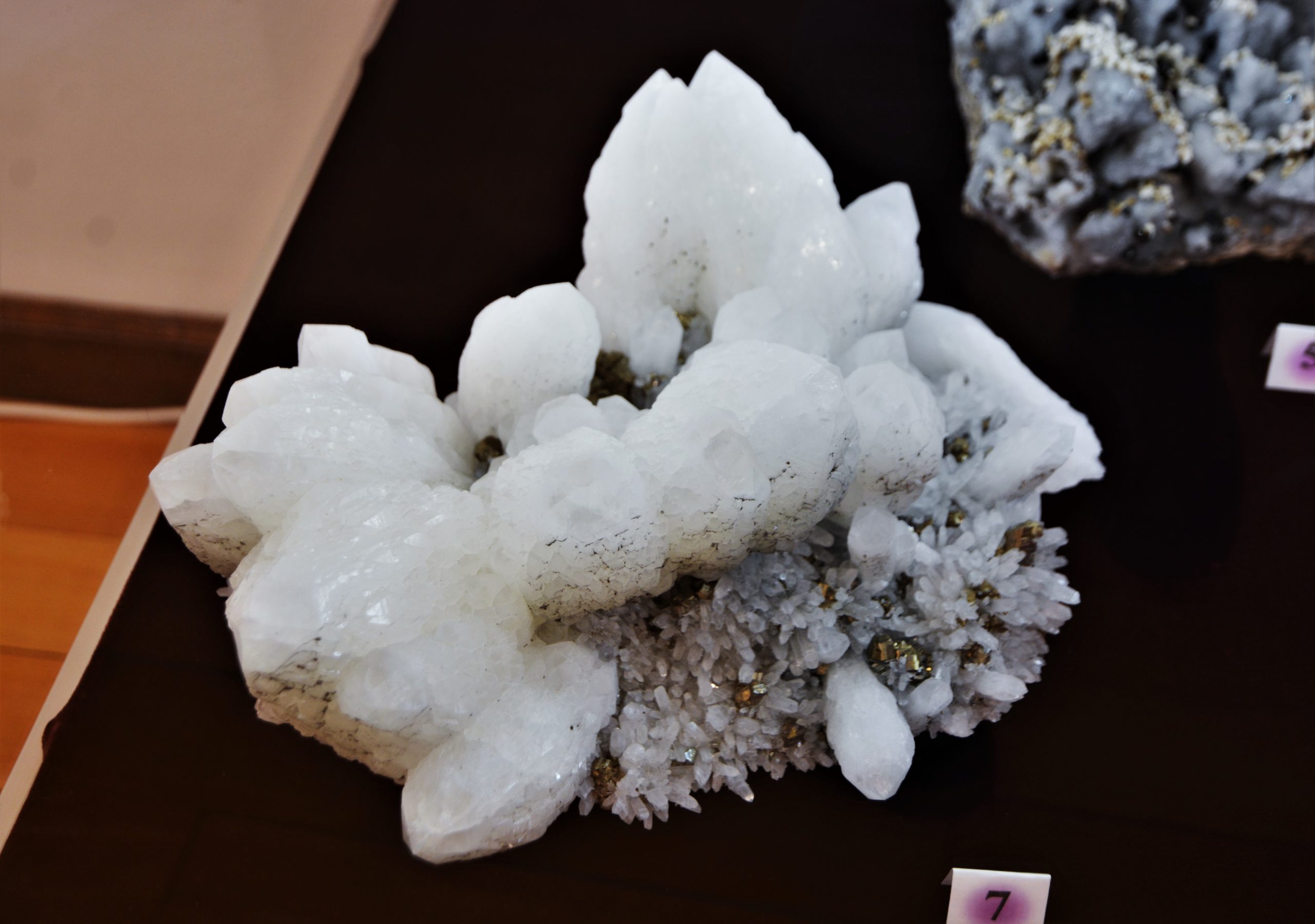 expozitie minerale oradea (70)