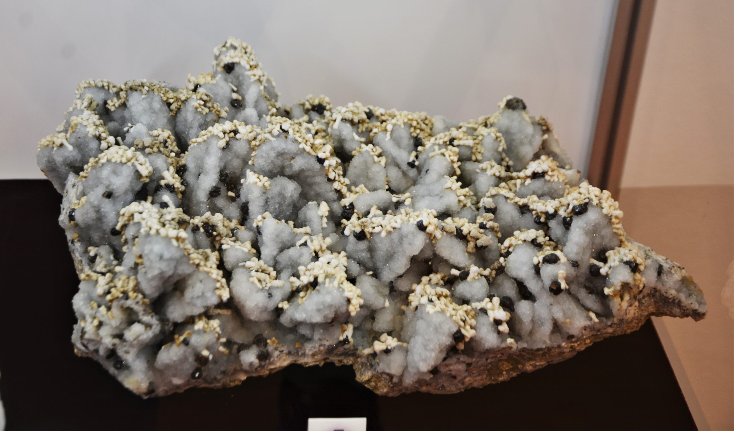 expozitie minerale oradea (71)