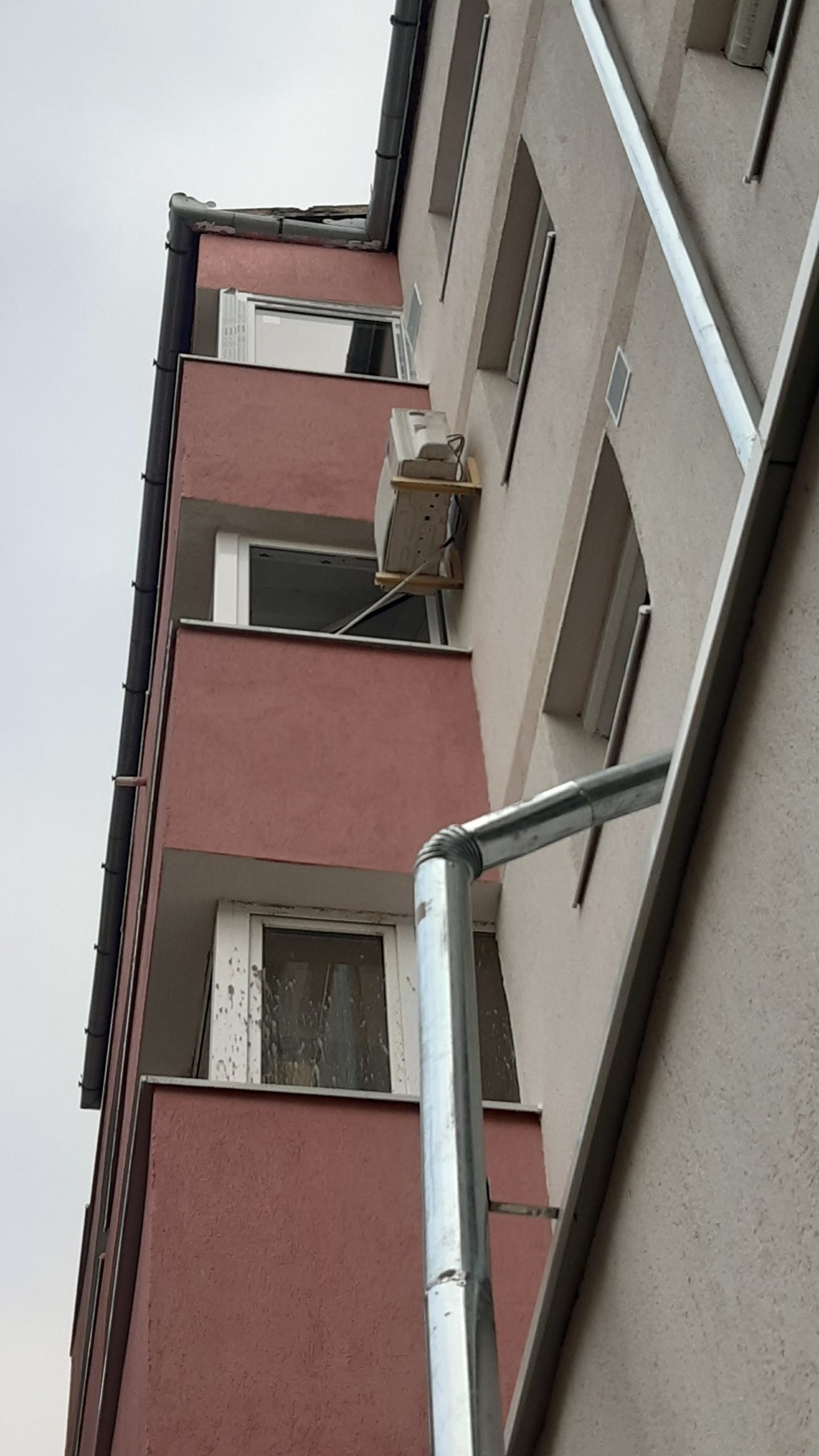 313844377_2384328295060645_8635514707278124773_n