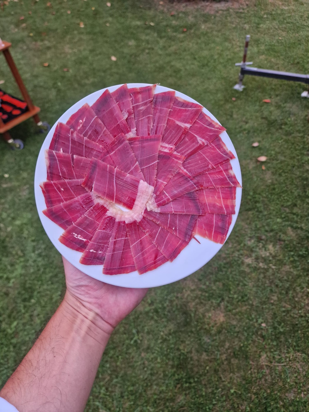 WhatsApp Image 2022-11-09 at 11.35.27