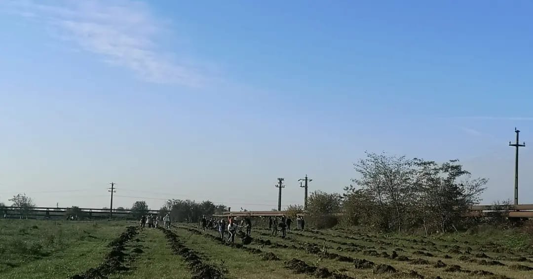 314868455_5546847552029685_9051012841428995891_n