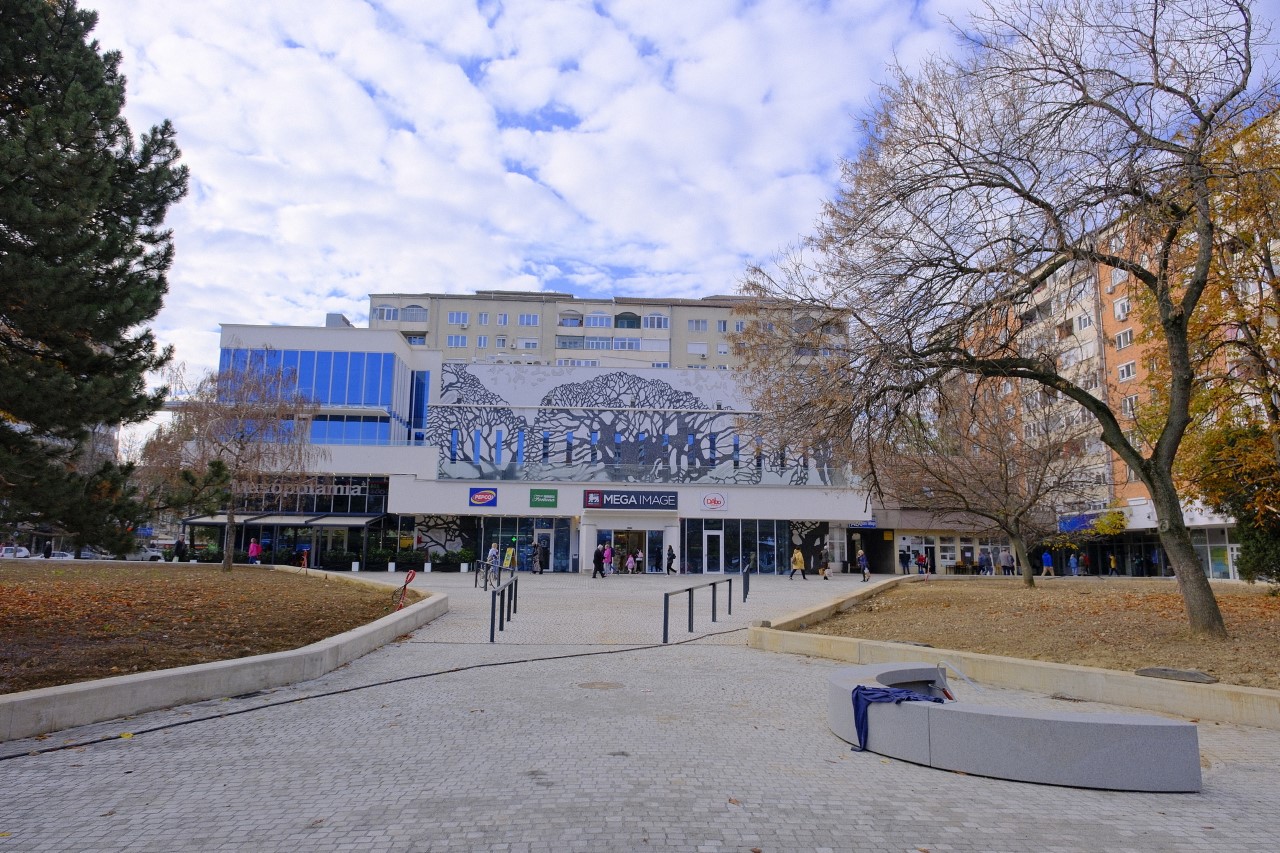 lucrări parcul magnolia 9