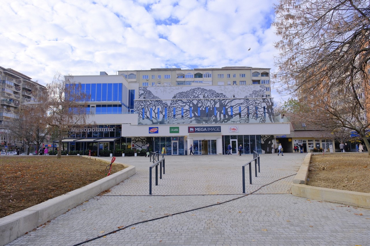 lucrări parcul magnolia 11