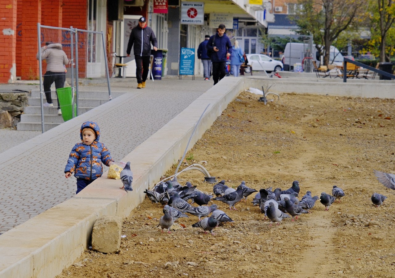 lucrări parcul magnolia 18