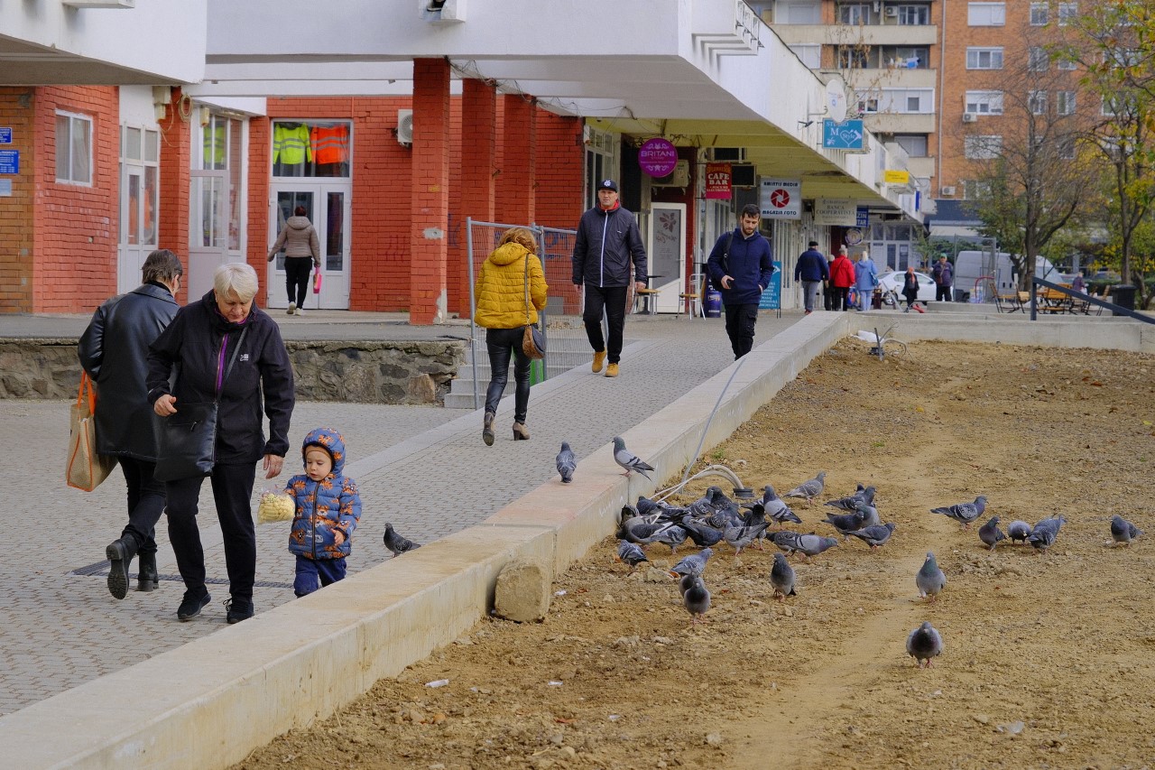 lucrări parcul magnolia 19