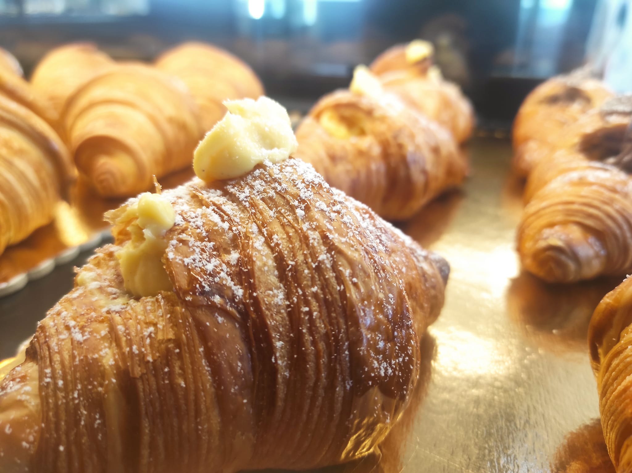 314893246_474570831435281_1771083612376213465_n