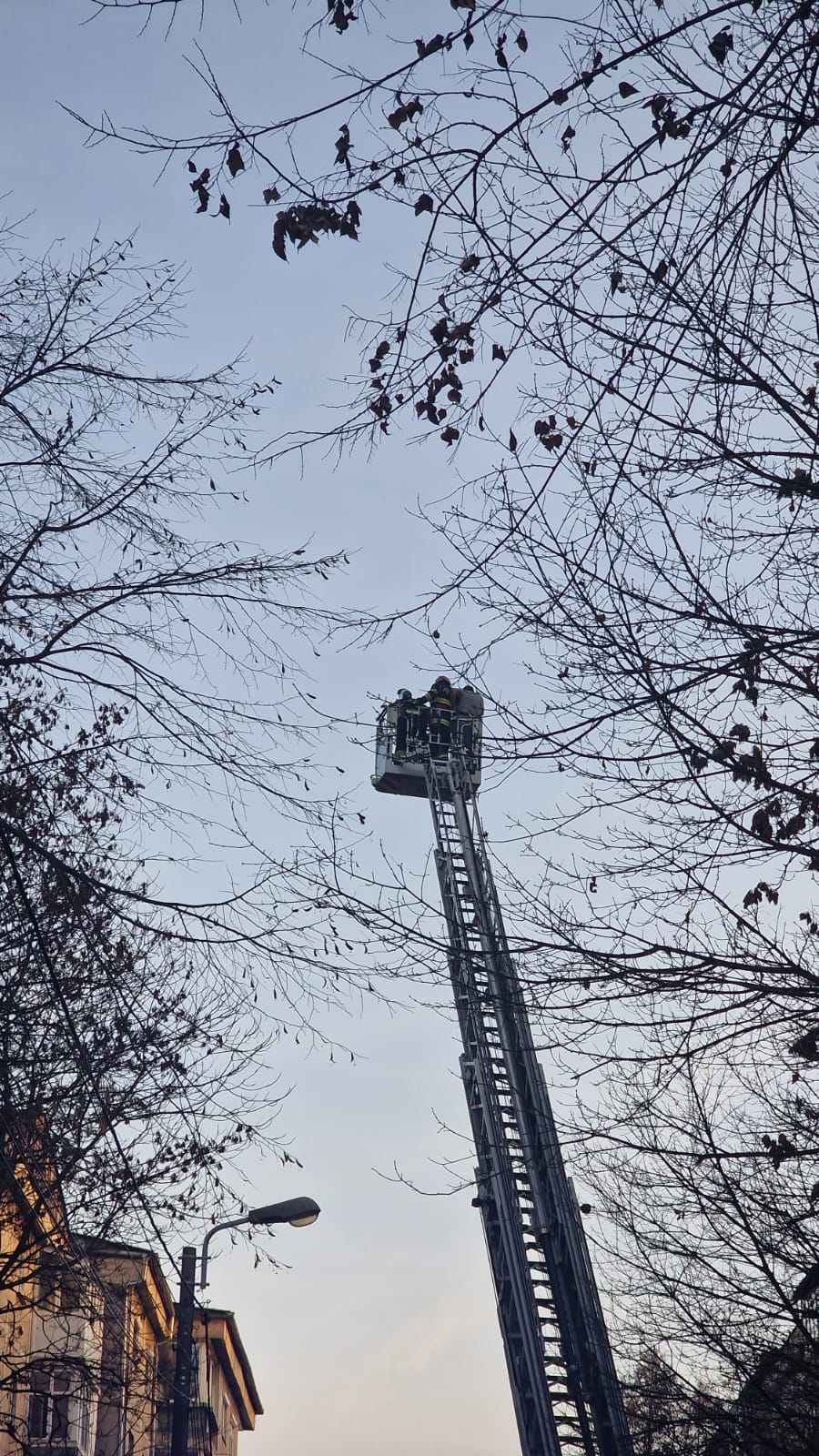 WhatsApp Image 2022-12-04 at 16.10.27 (1)