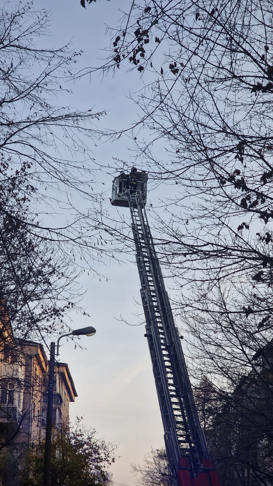 WhatsApp Image 2022-12-04 at 16.10.26