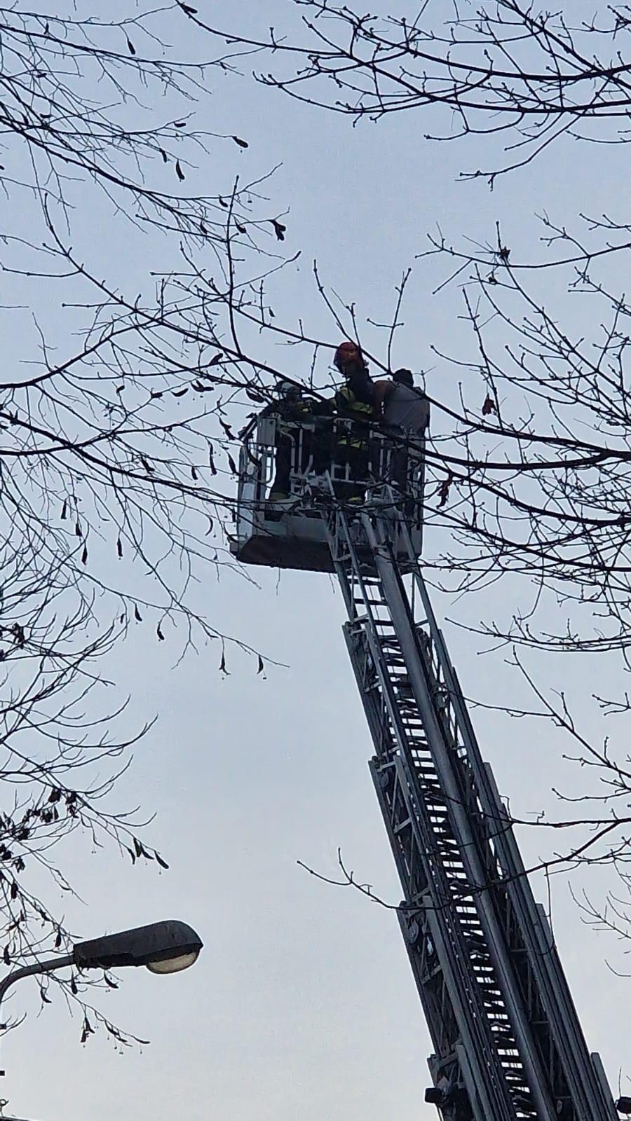 WhatsApp Image 2022-12-04 at 16.08.55 (1)