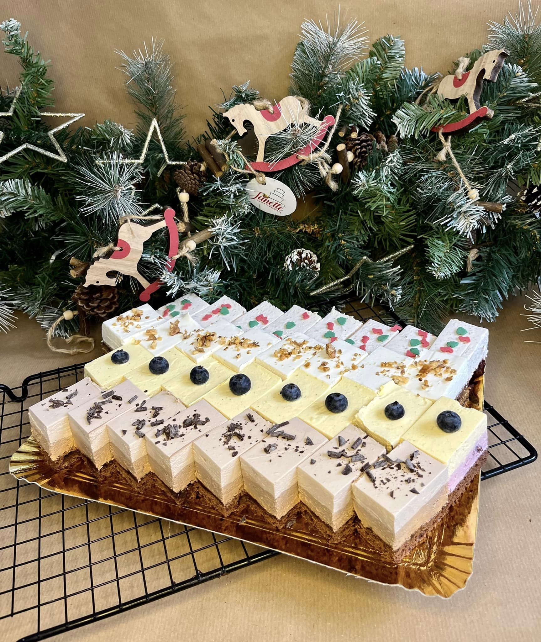 315393202_558040892996805_8298176727686080775_n