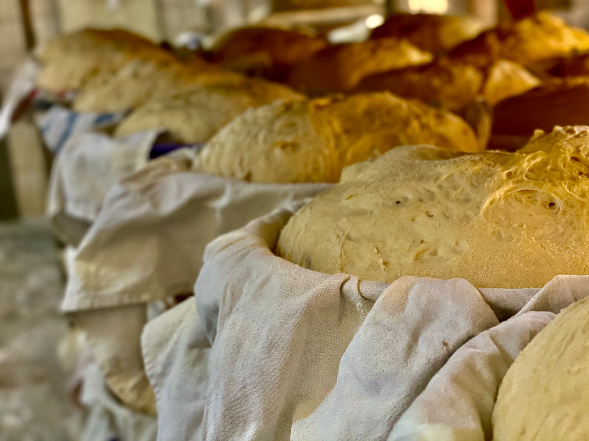 1b19a22f-0566-40b4-b677-5ffa66c6a521