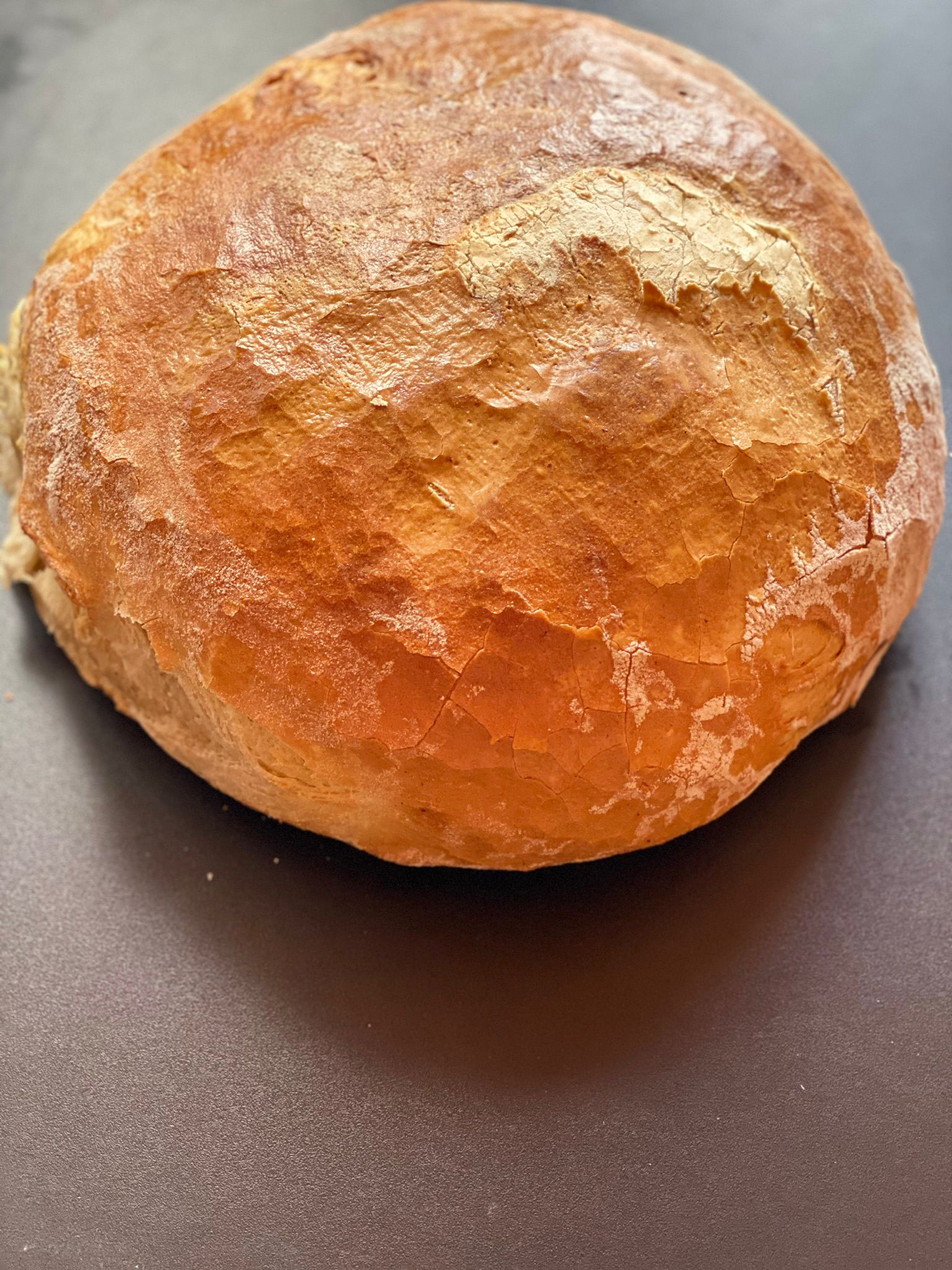 2d093a5c-fdab-4f9c-8cd2-148e4ba8d0f8