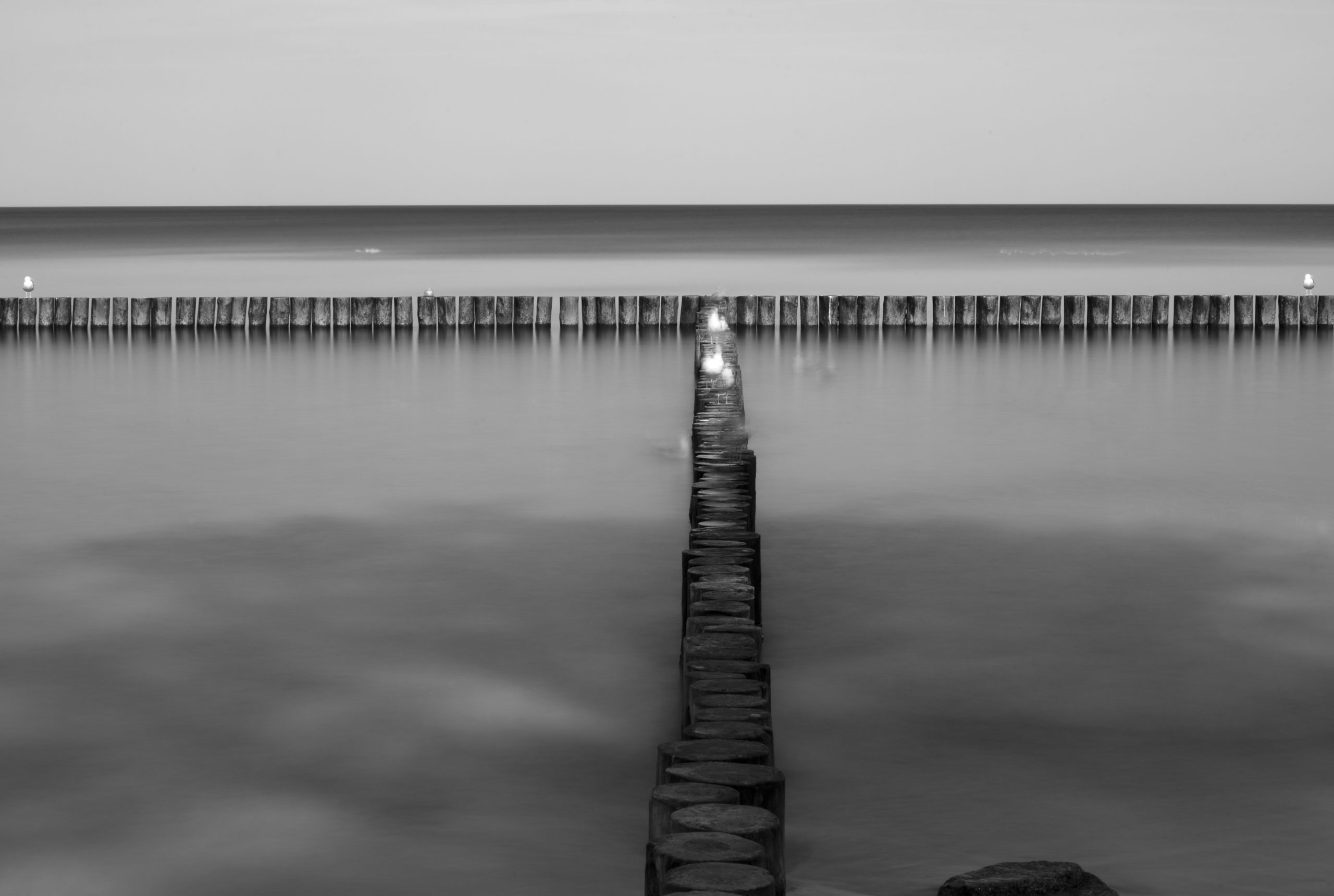 Szabó Béla EFIAP (HU)