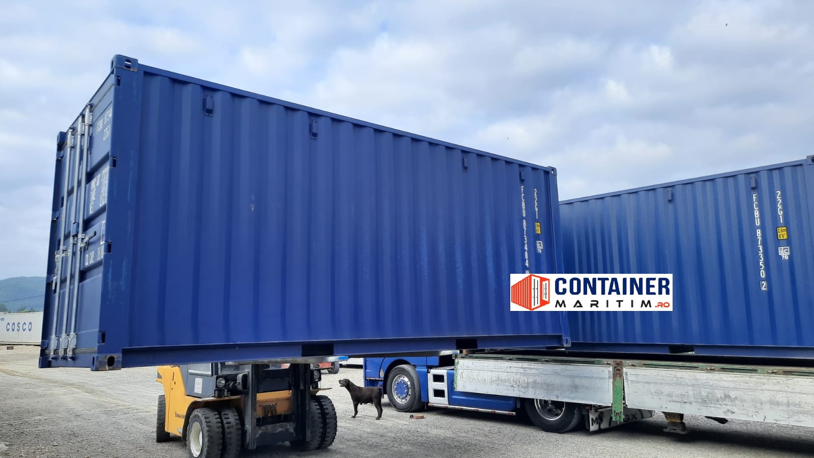 6680238b-7590-4be6-9ddf-daa0608dbd82