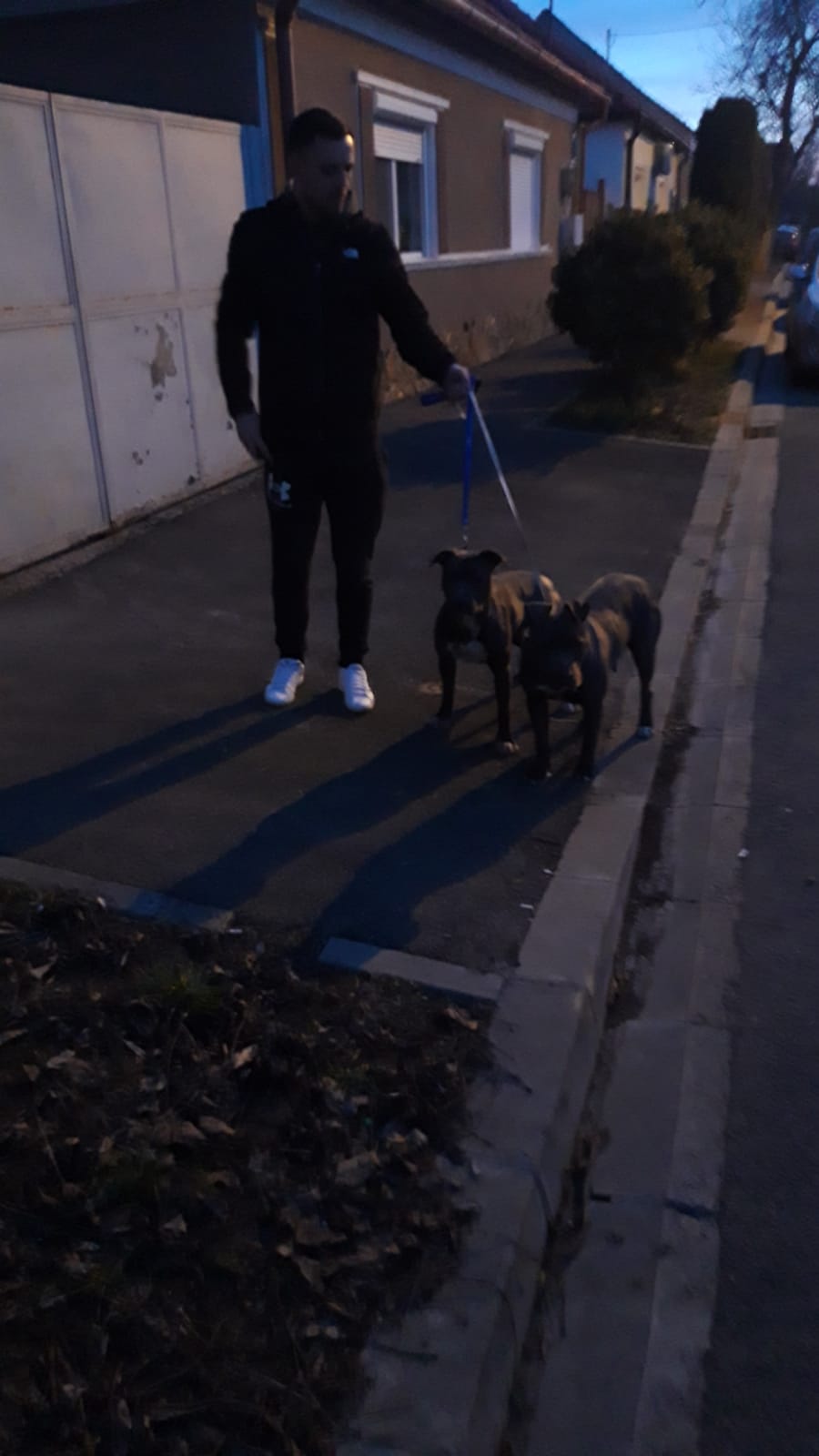 WhatsApp Image 2023-03-13 at 12.56.17 PM