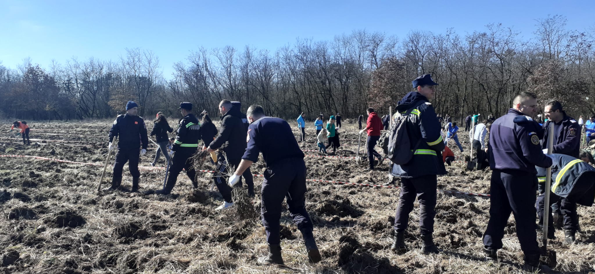 WhatsApp Image 2023-03-18 at 12.49.40 PM