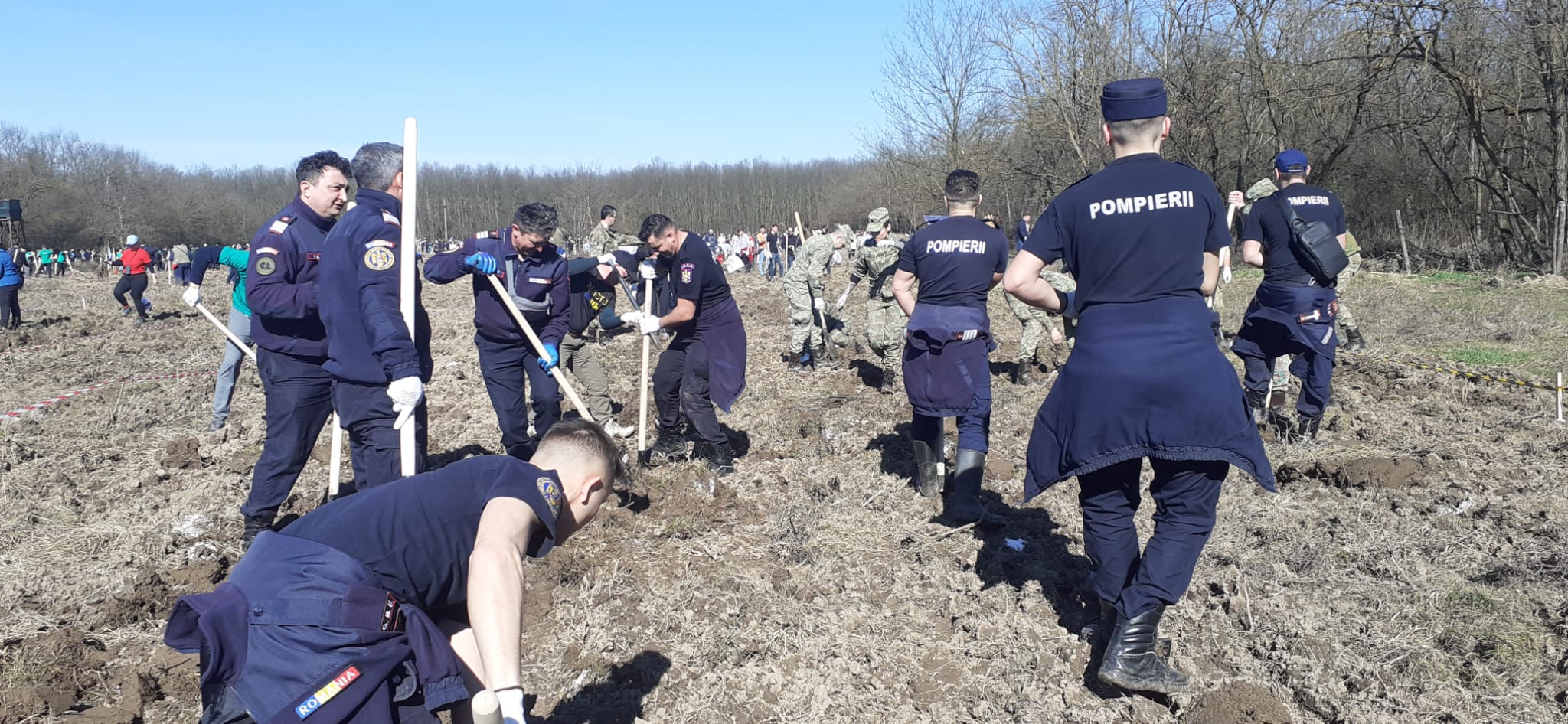 WhatsApp Image 2023-03-18 at 12.49.42 PM