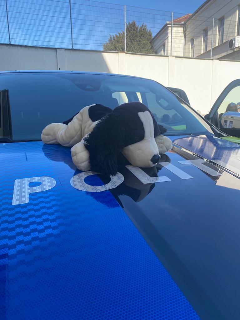 PHOTO-2023-03-24-10-55-53_18