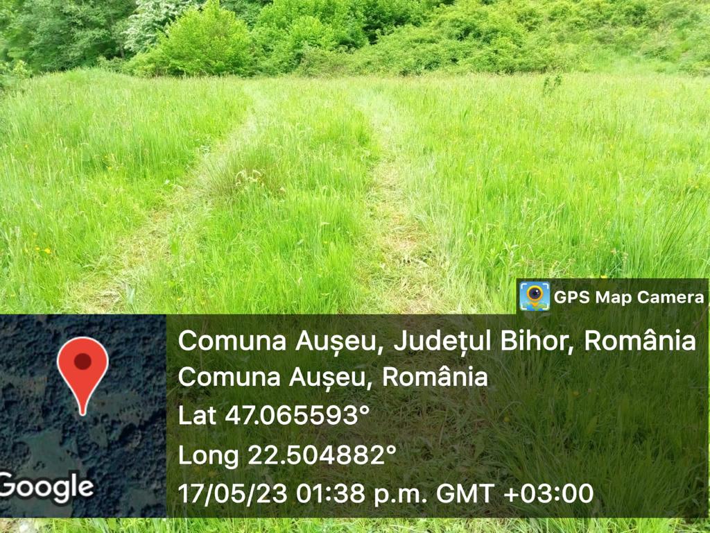 WhatsApp Image 2023-05-23 at 1.22.13 PM (3)