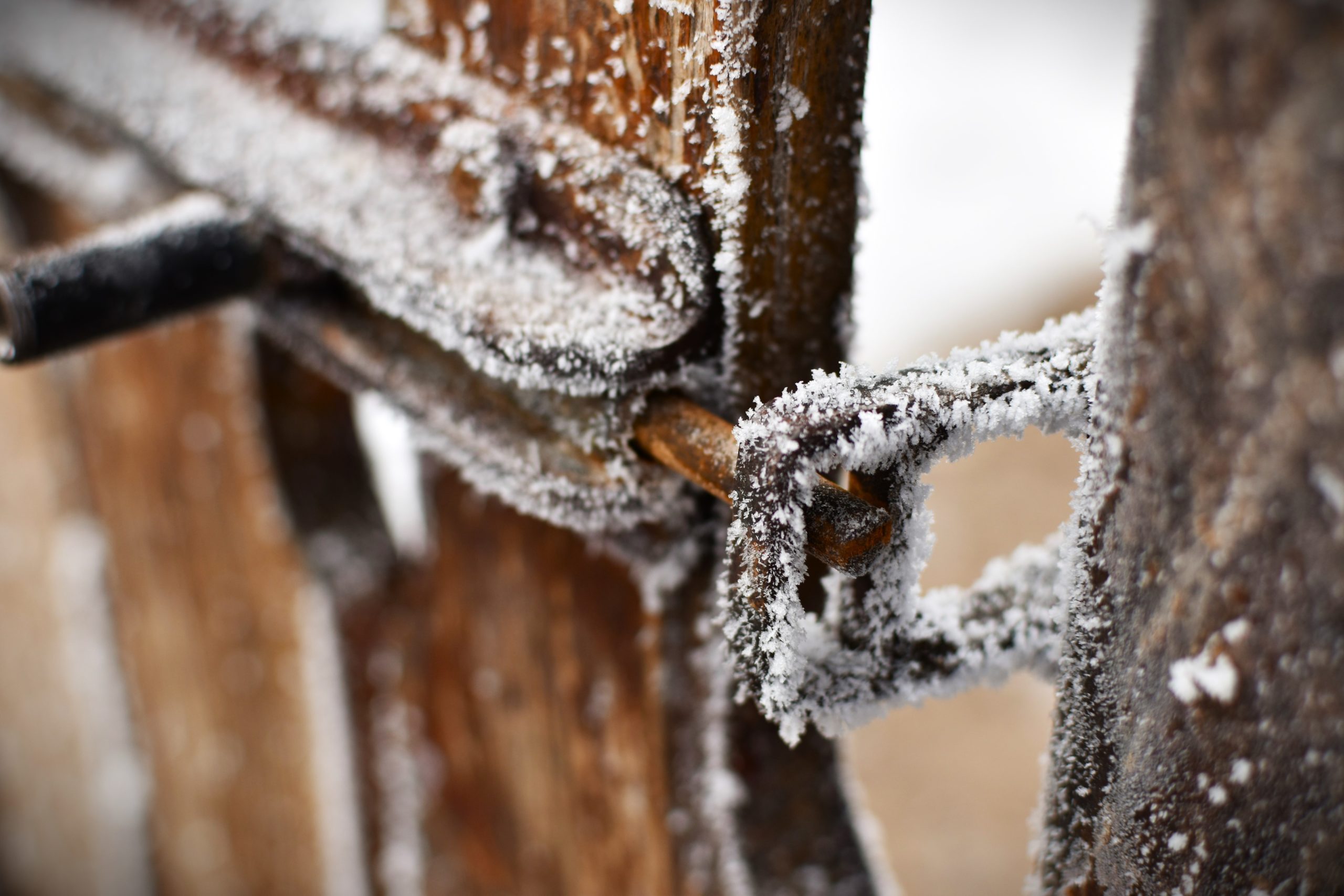 Foto Szilágyi Barbara 2