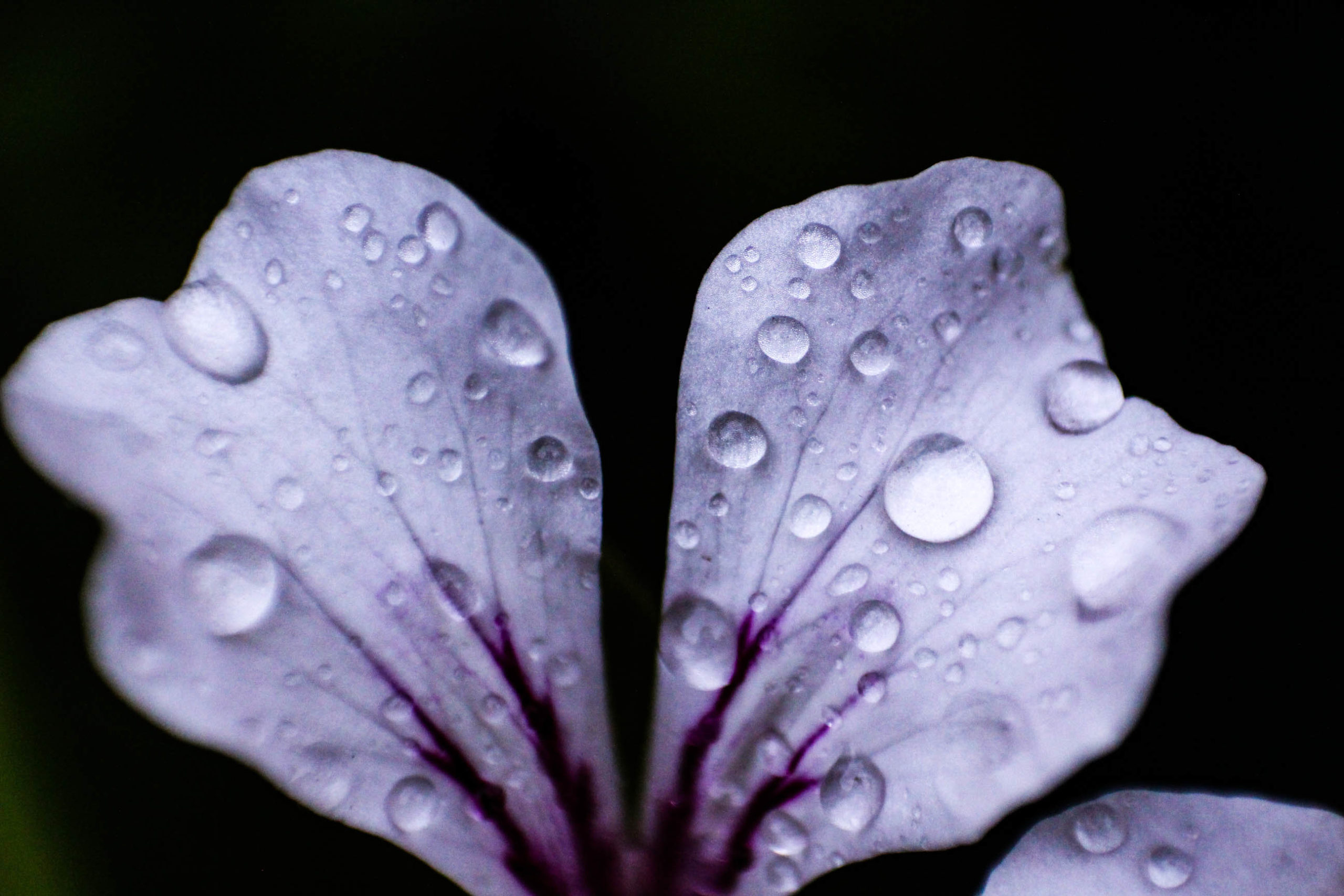 Foto Bruncsák Mátyás 2