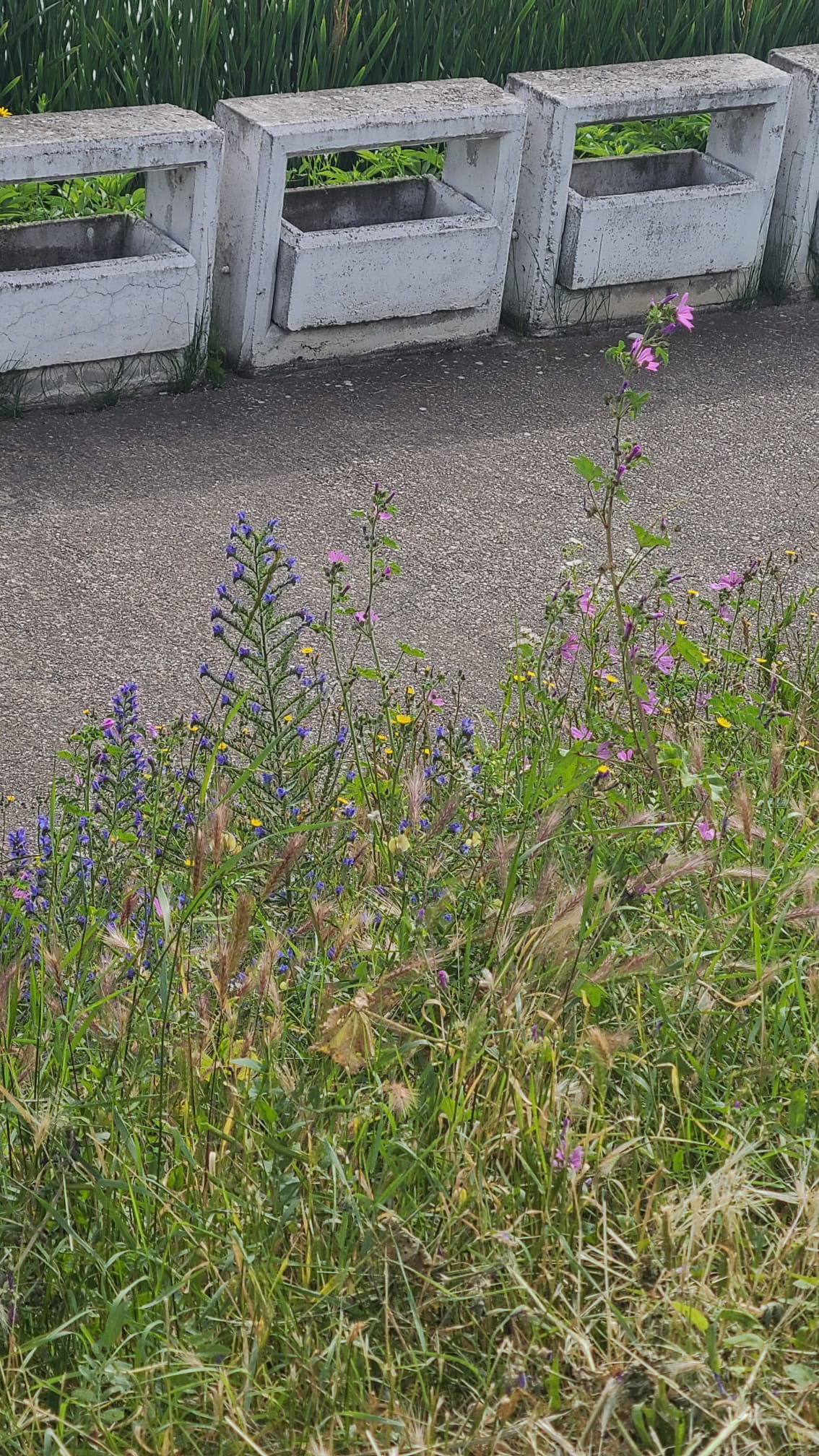 354262431_744801870983513_9136273183903076486_n